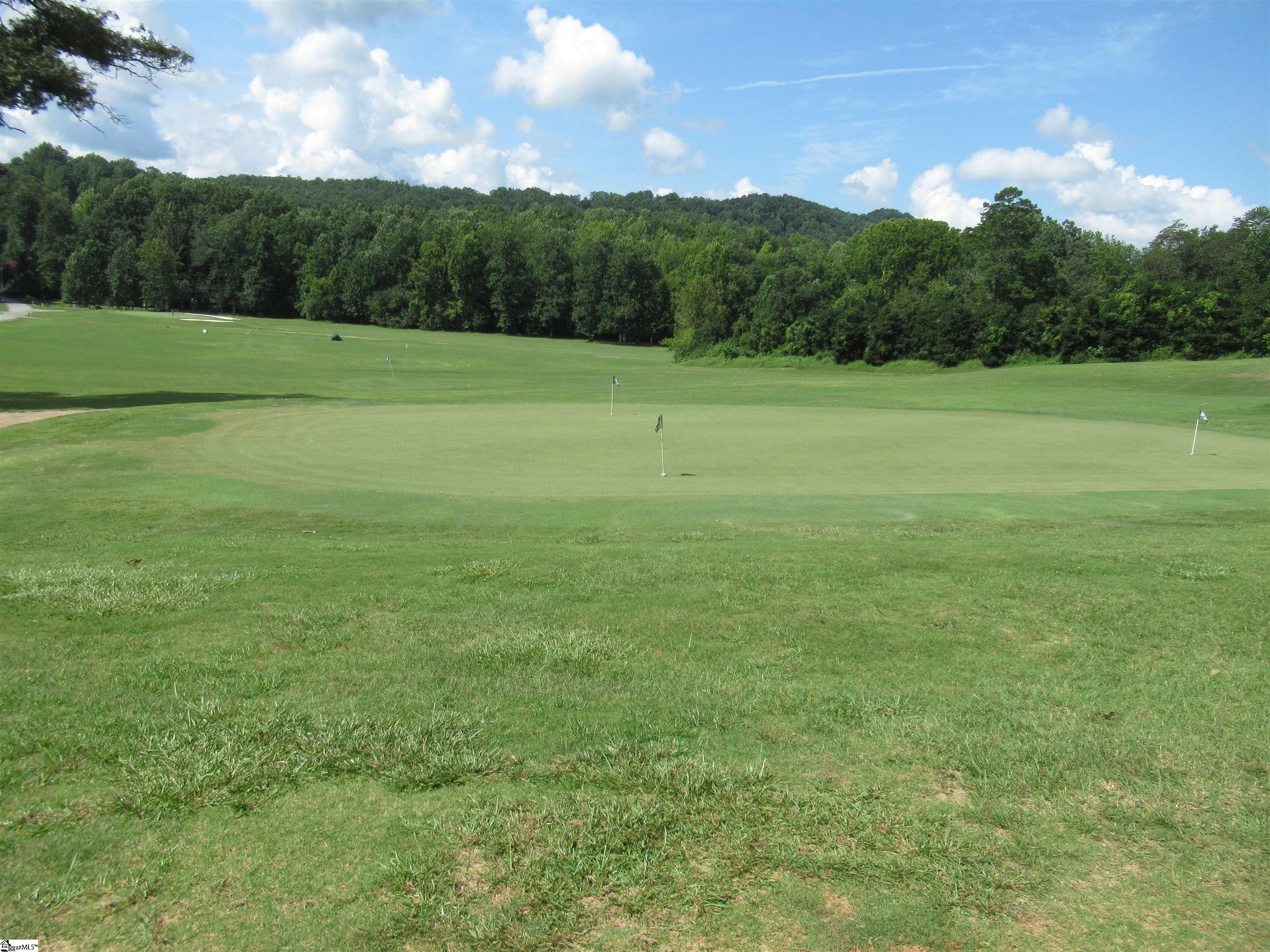 113 Hambys Way Pickens, SC 29671