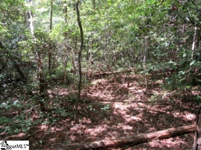 122 Hambys Way Pickens, SC 29671