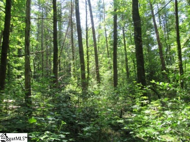 122 Hambys Way Pickens, SC 29671