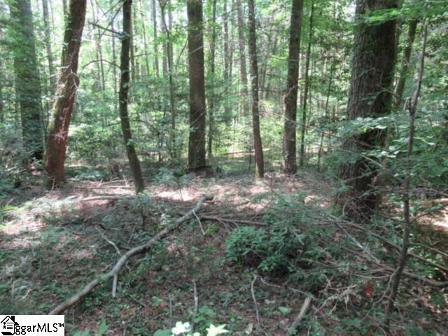 122 Hambys Way Pickens, SC 29671