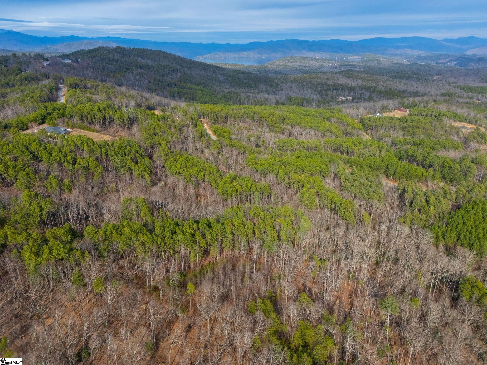 Jocasee Ridge UNIT Lot S-30 Salem, SC 29676