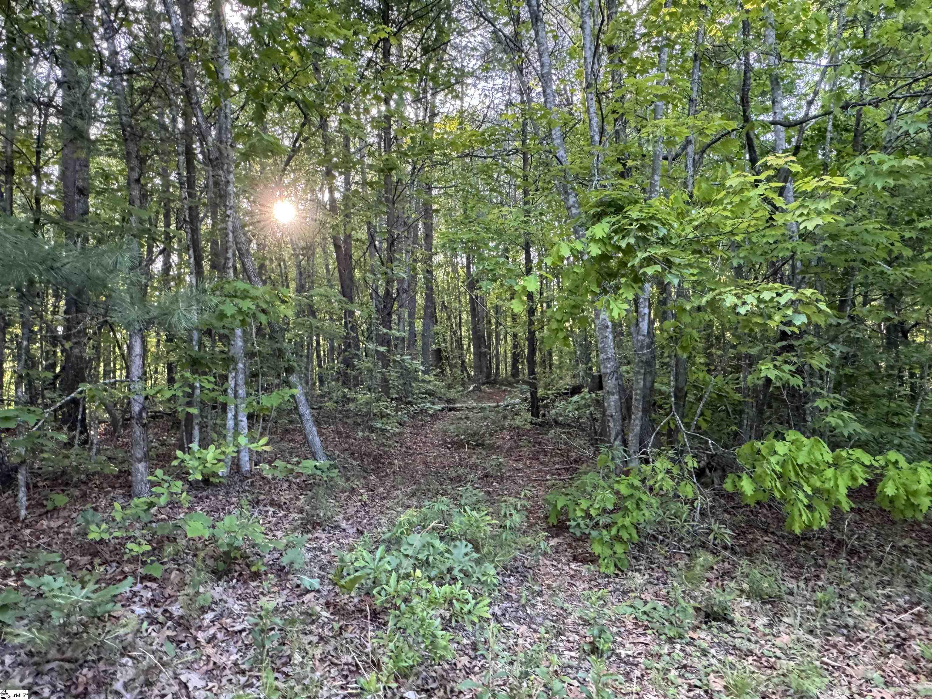 000 Trammell Road Travelers Rest, SC 29690