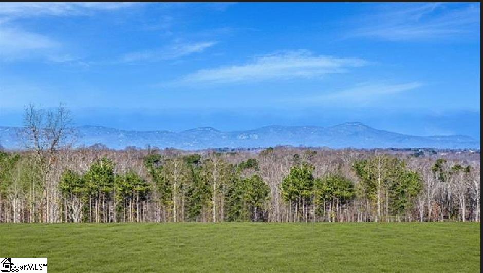108 Sunriff Court Greer, SC 29651