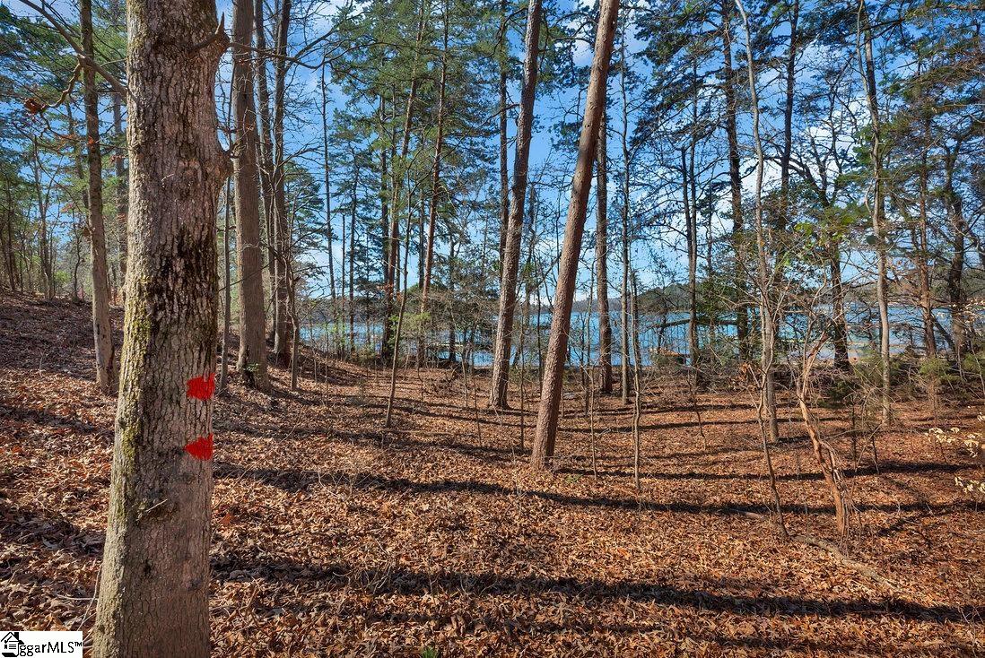 00 Overlook Drive UNIT Lot 14 Fair Play, SC 29643