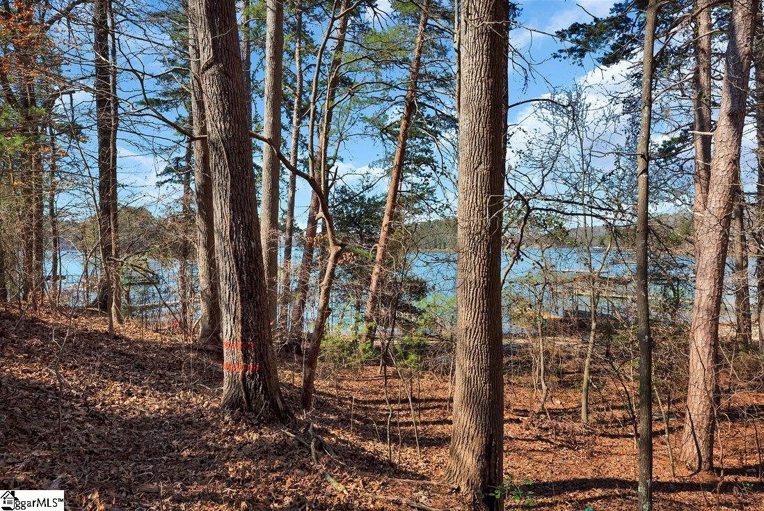 00 Overlook Drive UNIT Lot 14 Fair Play, SC 29643