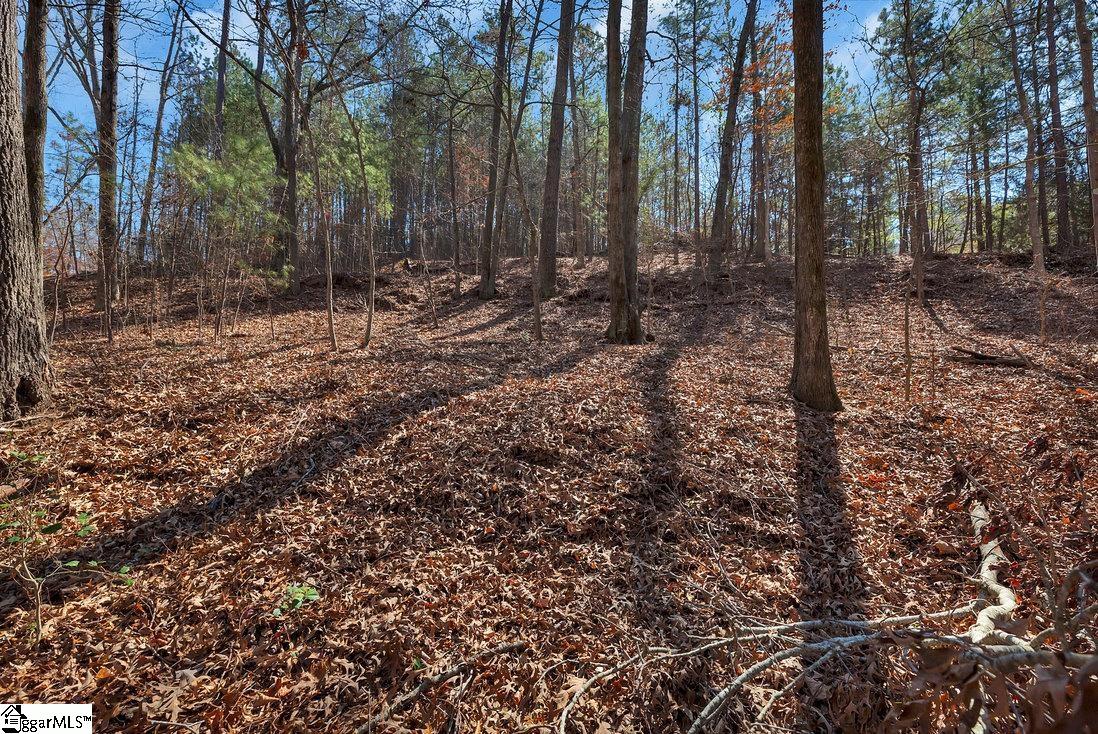 00 Overlook Drive UNIT Lot 14 Fair Play, SC 29643
