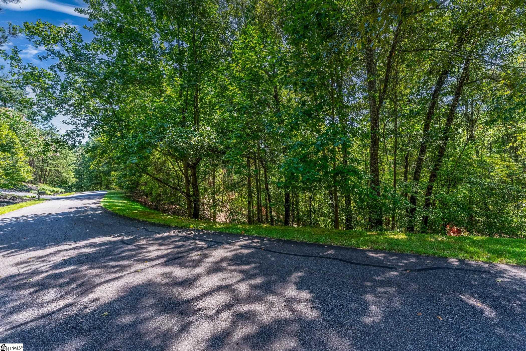 111 Sweetshrub Way Sunset, SC 29685