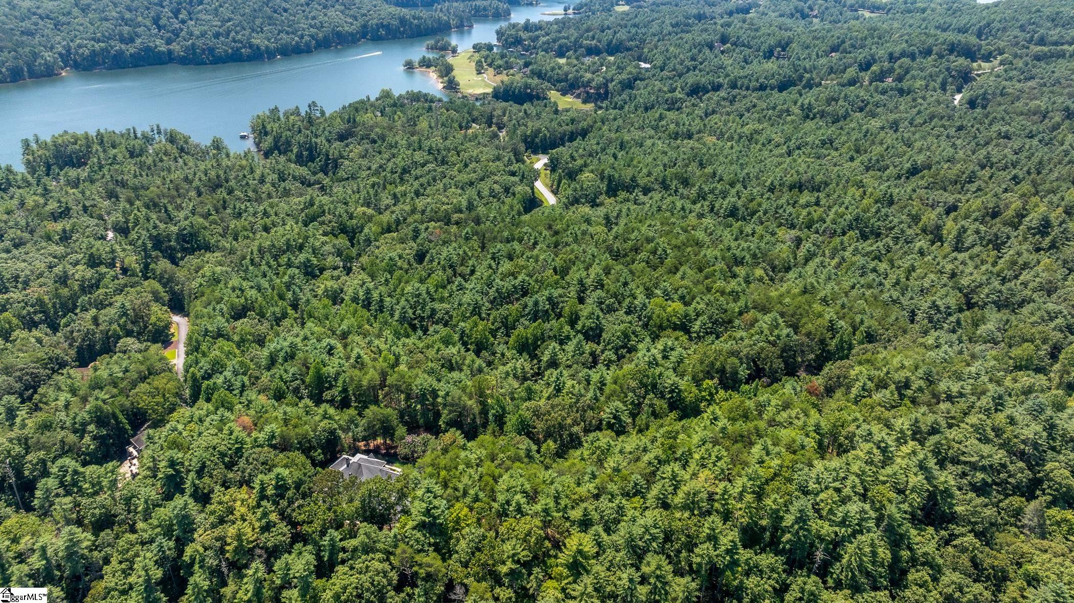 111 Sweetshrub Way Sunset, SC 29685