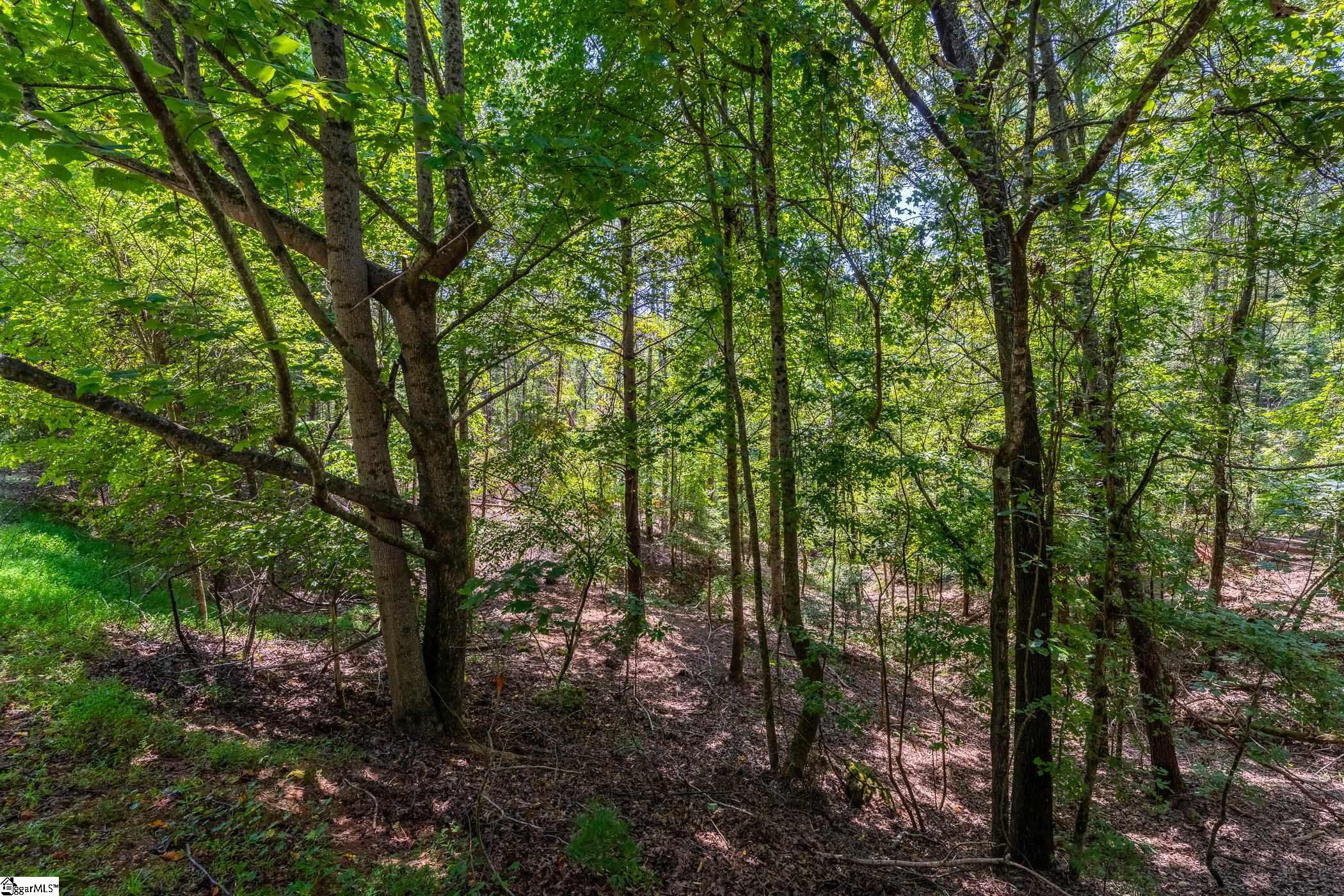 111 Sweetshrub Way Sunset, SC 29685