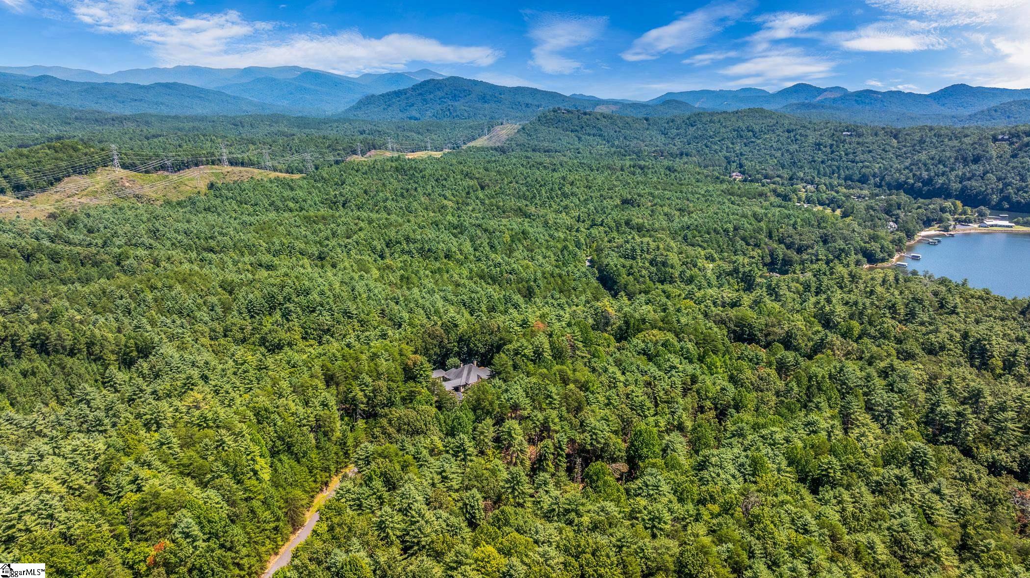 111 Sweetshrub Way Sunset, SC 29685
