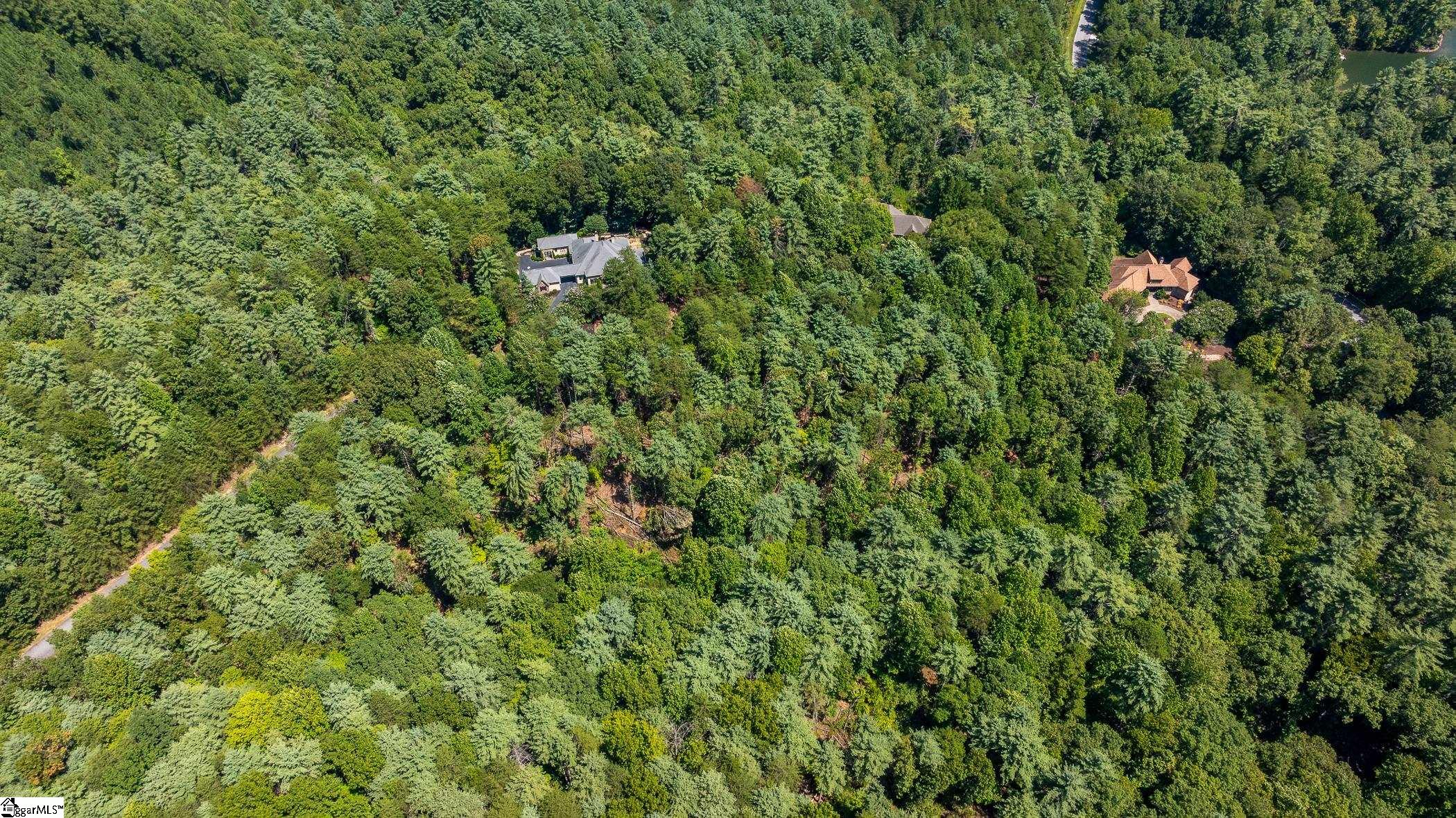 111 Sweetshrub Way Sunset, SC 29685