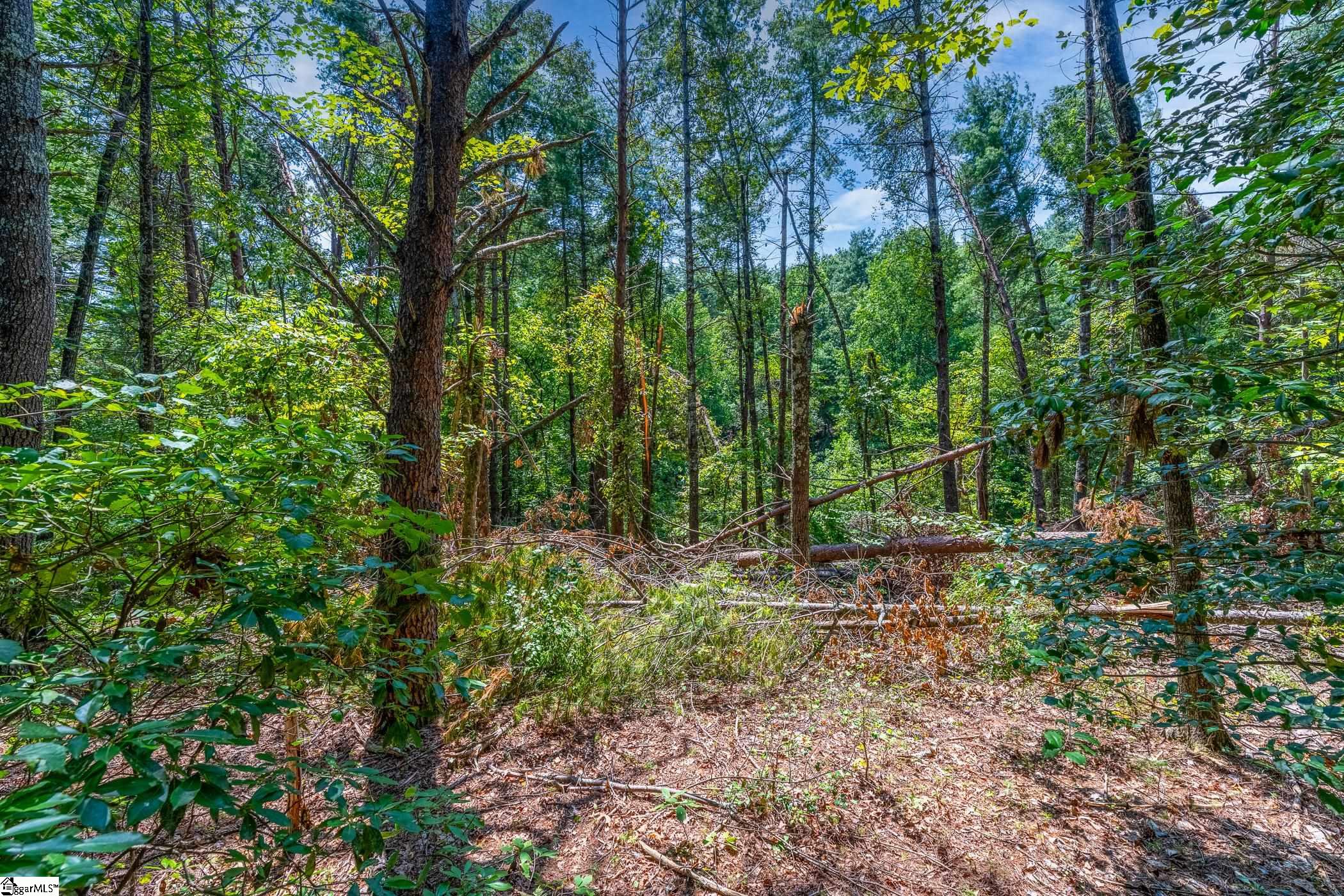 111 Sweetshrub Way Sunset, SC 29685