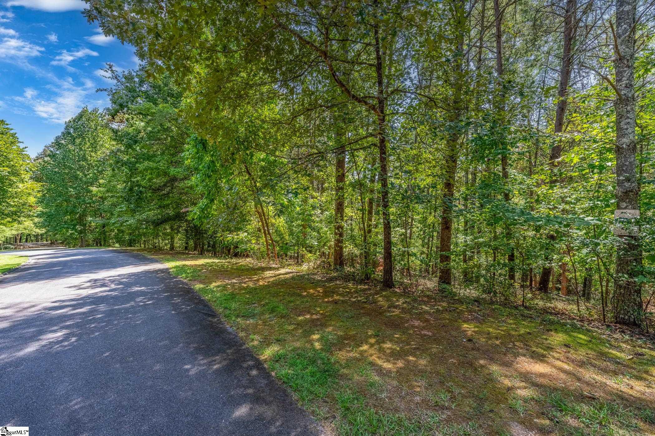 111 Sweetshrub Way Sunset, SC 29685