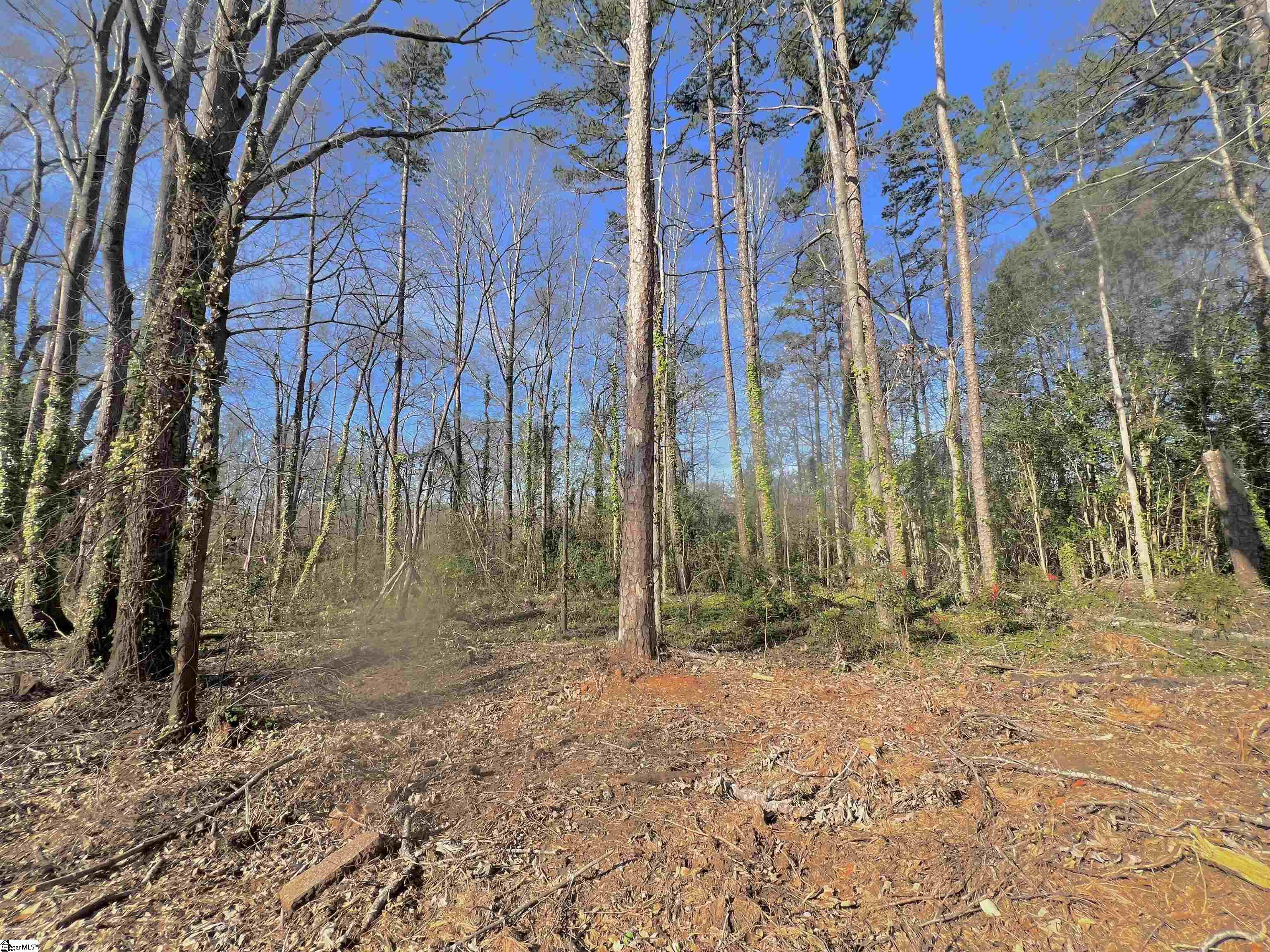 S Irwin Avenue Spartanburg, SC 29306