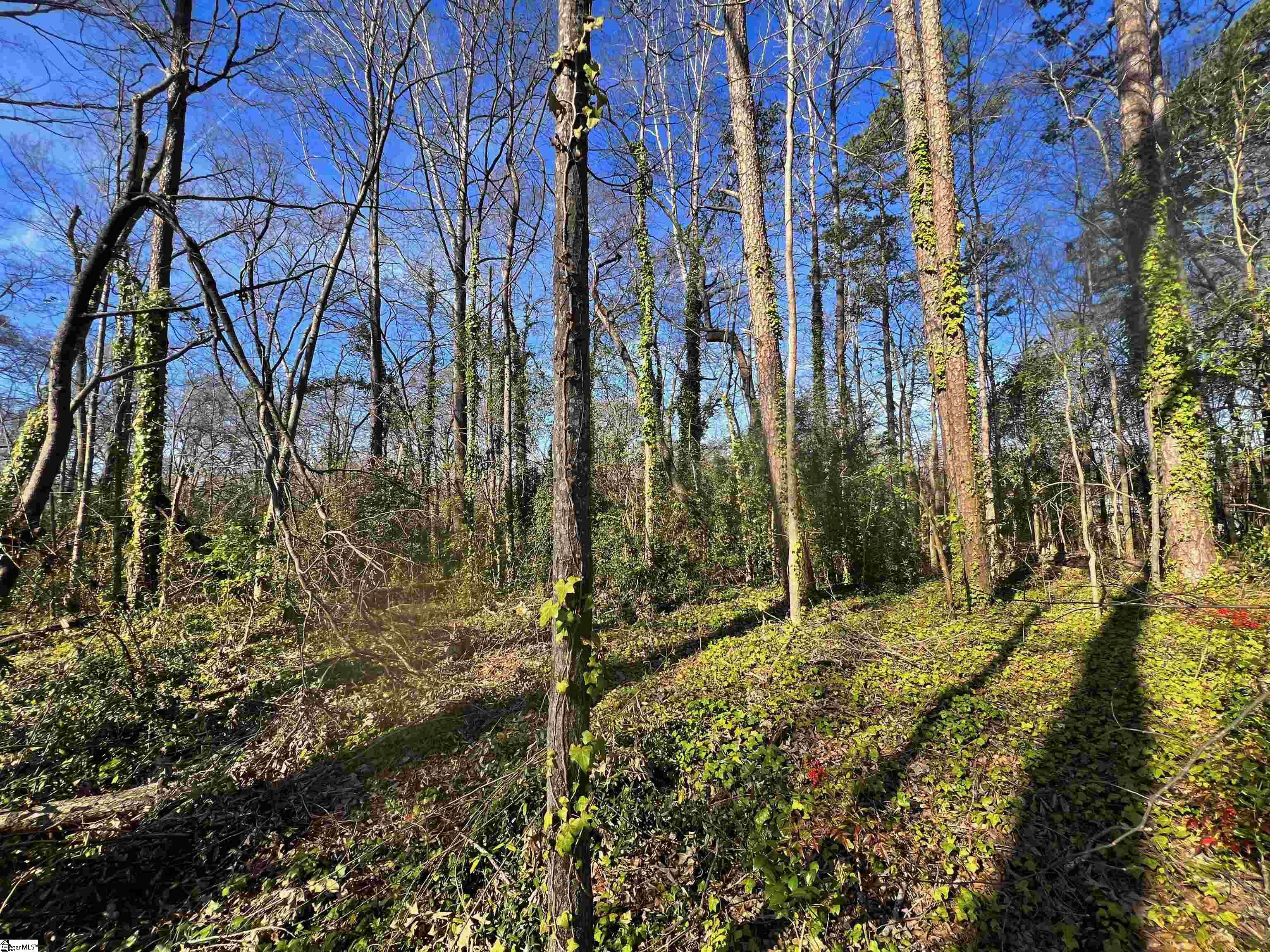S Irwin Avenue Spartanburg, SC 29306