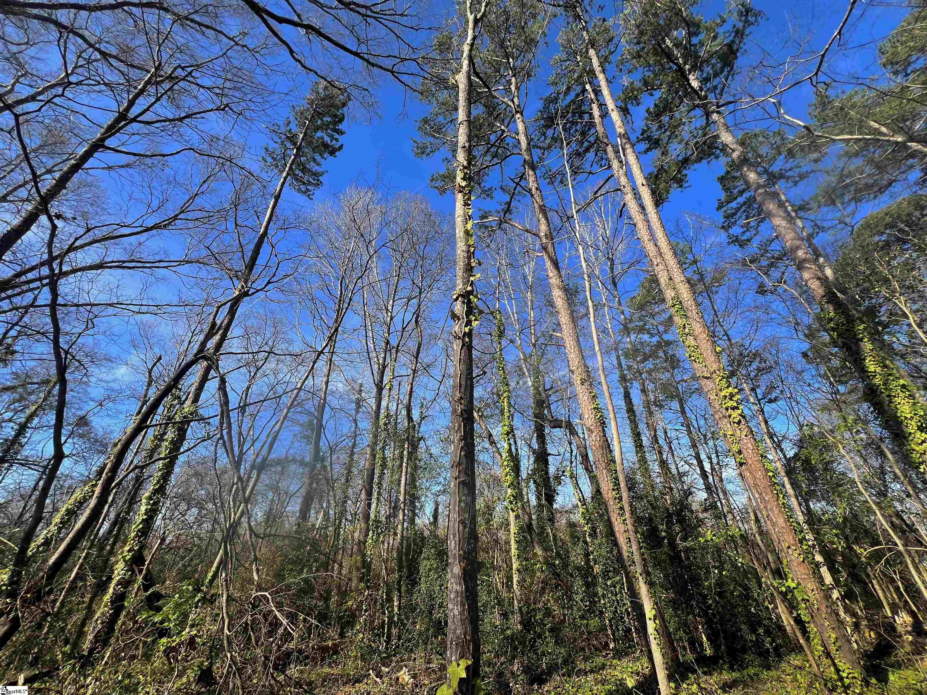 S Irwin Avenue Spartanburg, SC 29306