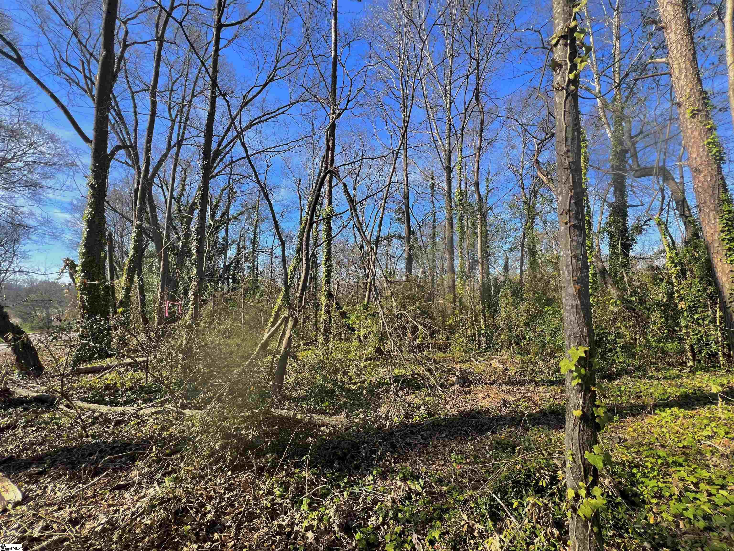 S Irwin Avenue Spartanburg, SC 29306