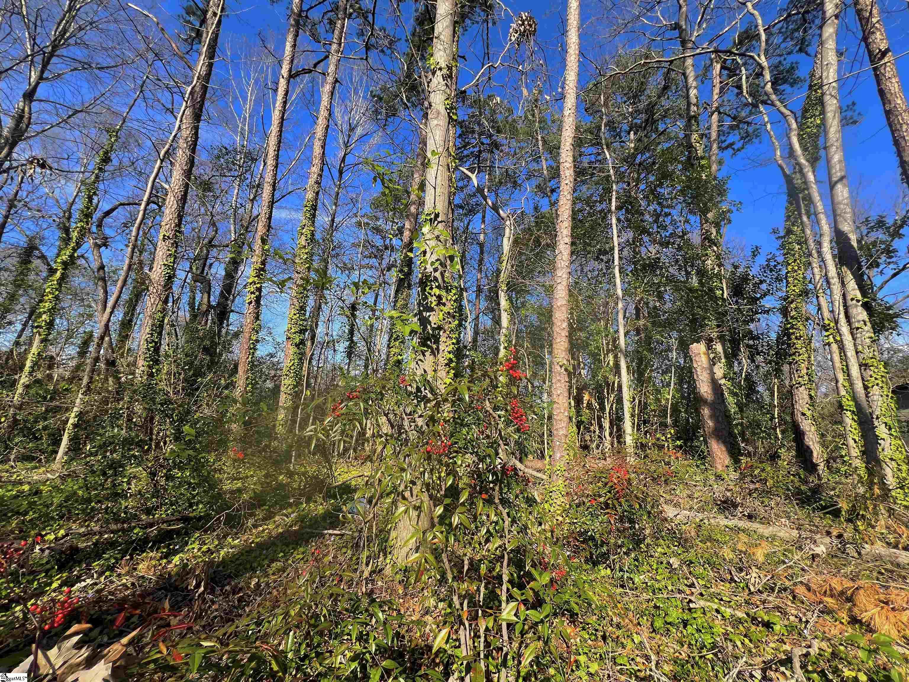 S Irwin Avenue Spartanburg, SC 29306