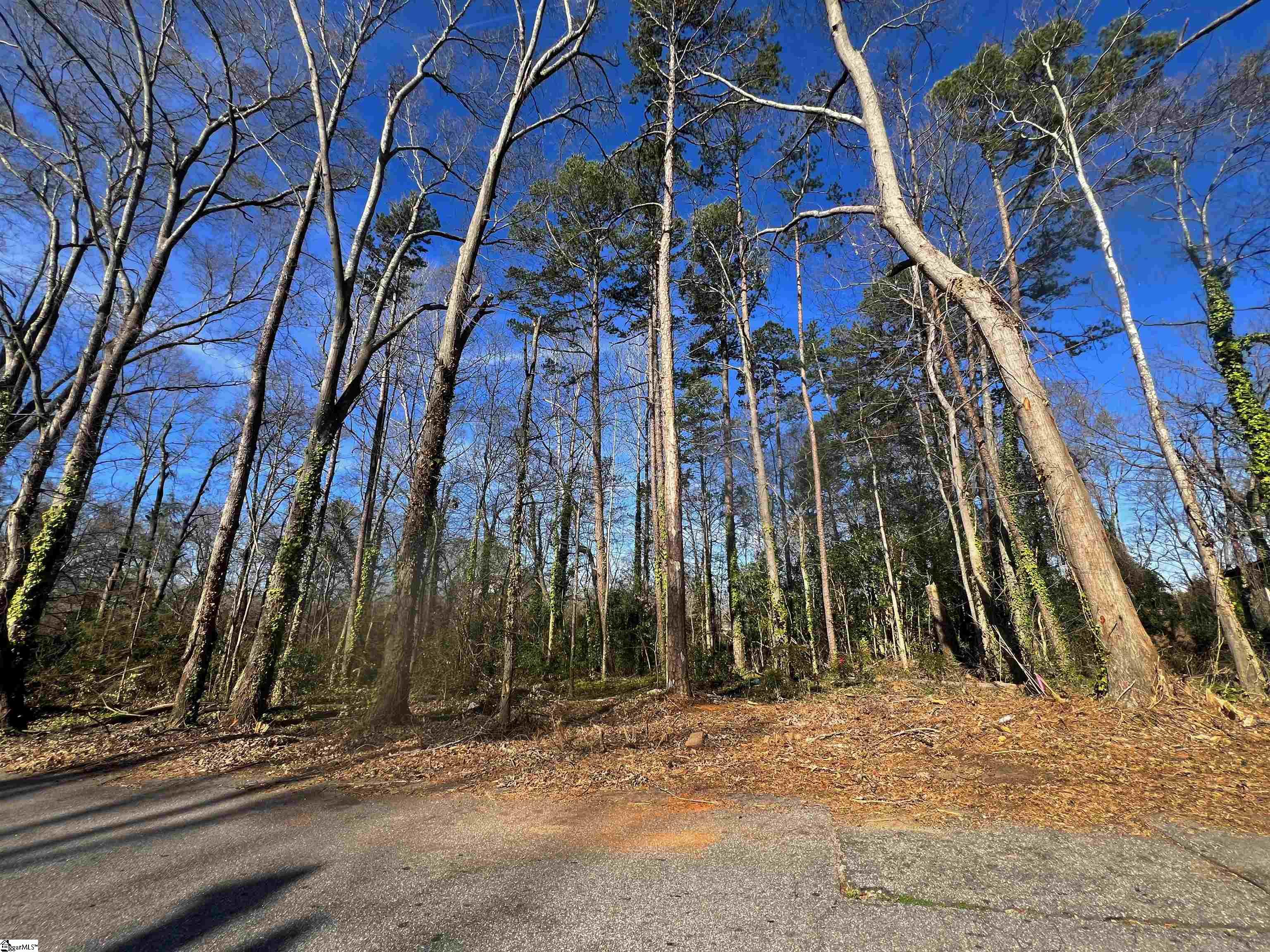 S Irwin Avenue Spartanburg, SC 29306