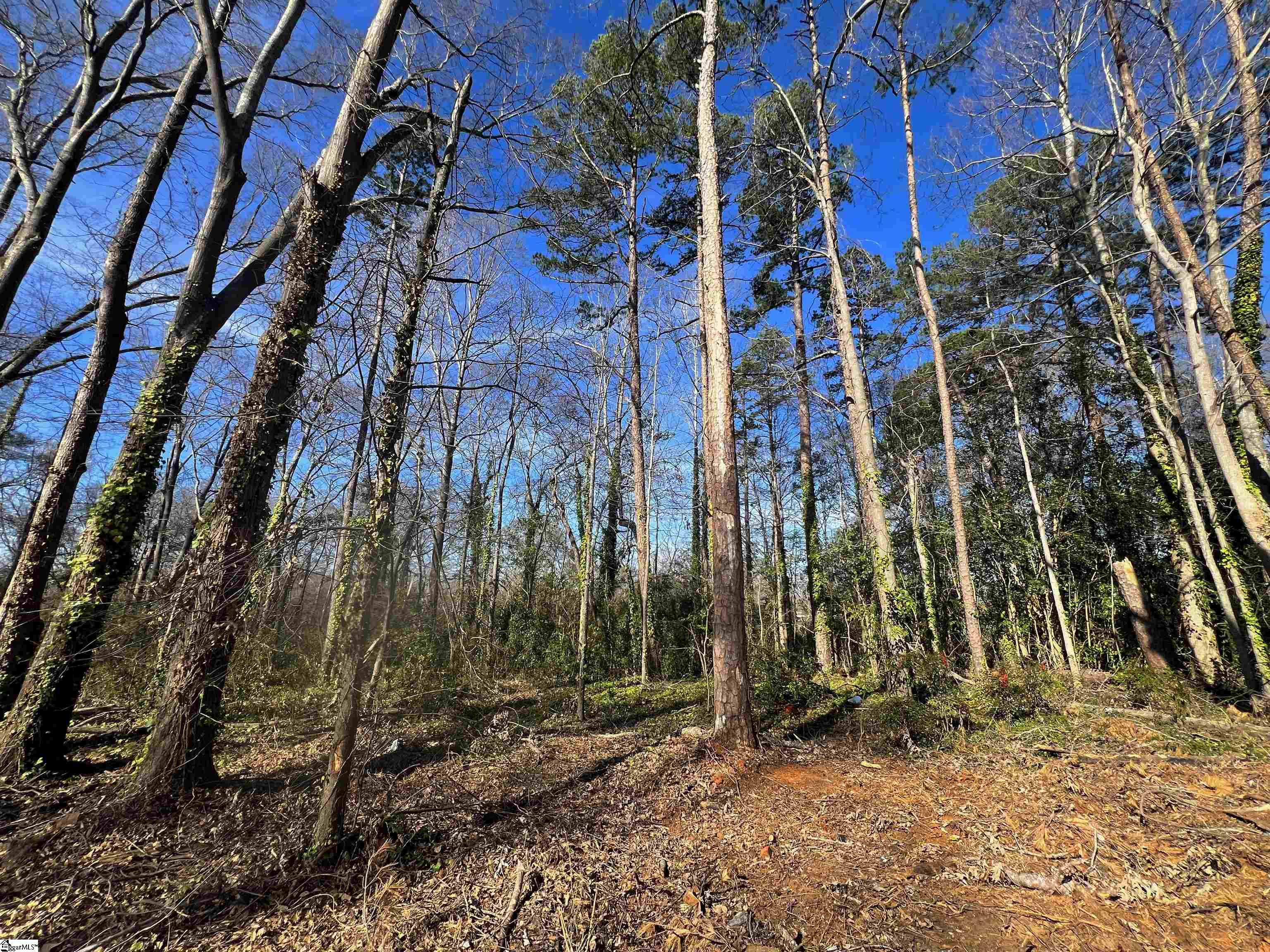 S Irwin Avenue Spartanburg, SC 29306