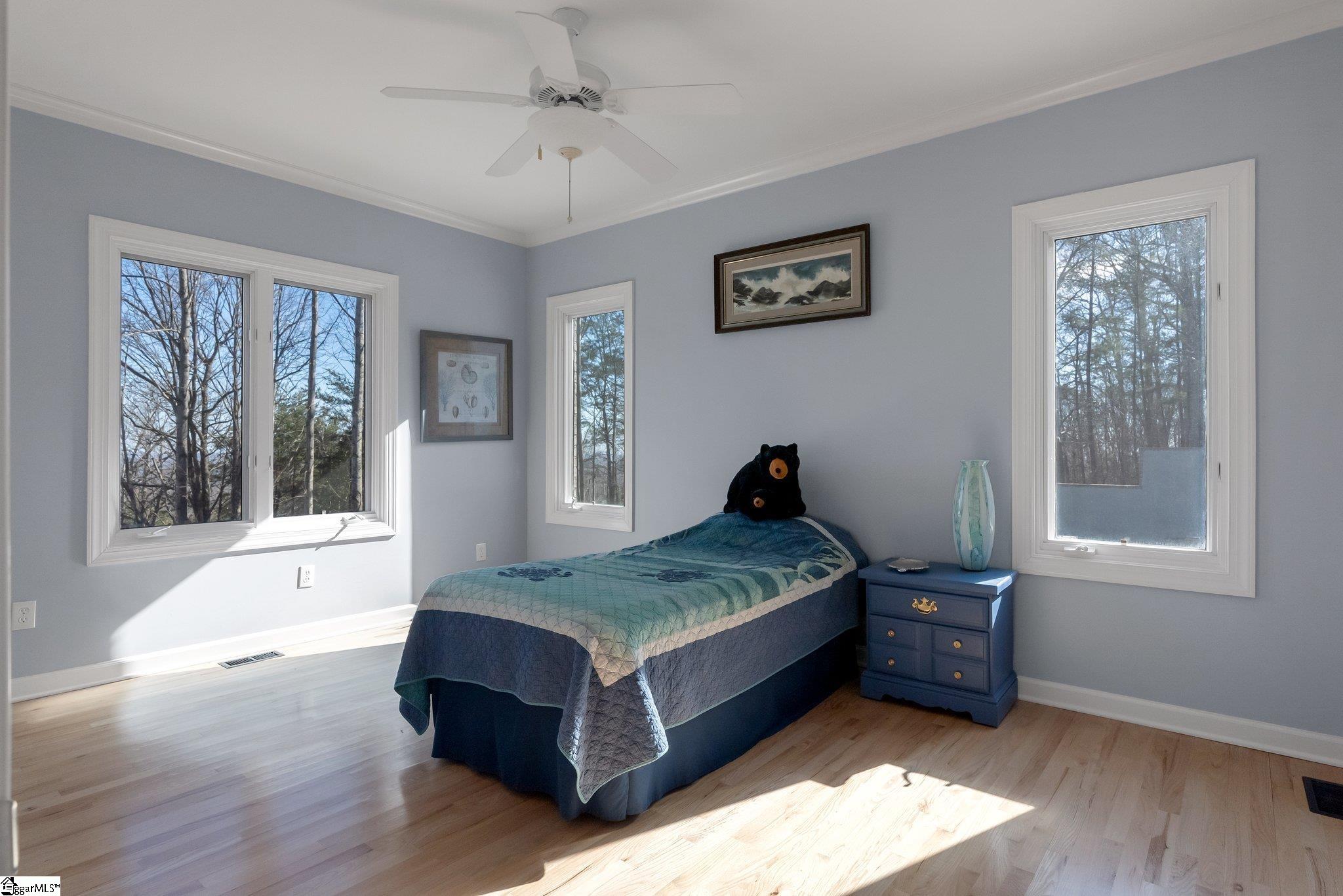 5 Misty Vale Court Landrum, SC 29356