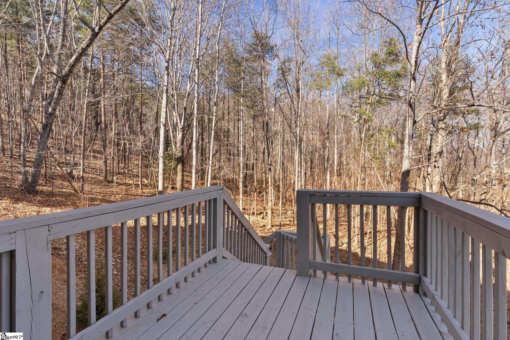 5 Misty Vale Court Landrum, SC 29356