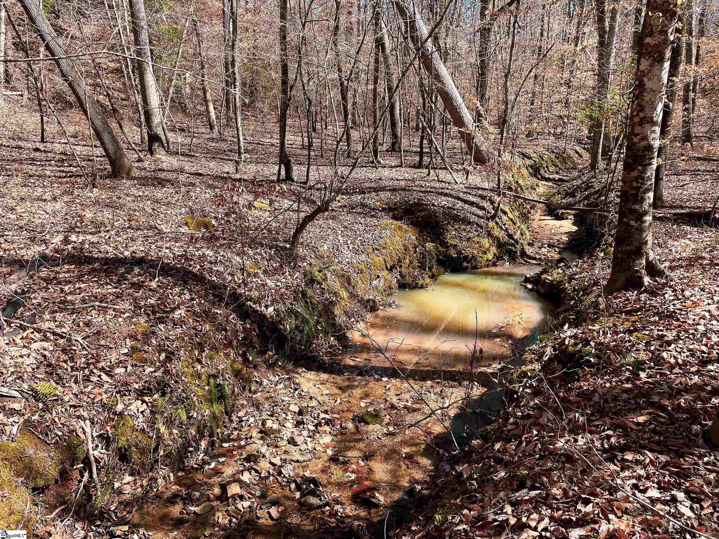 00 Tom Young Bridge Road Iva, SC 29655