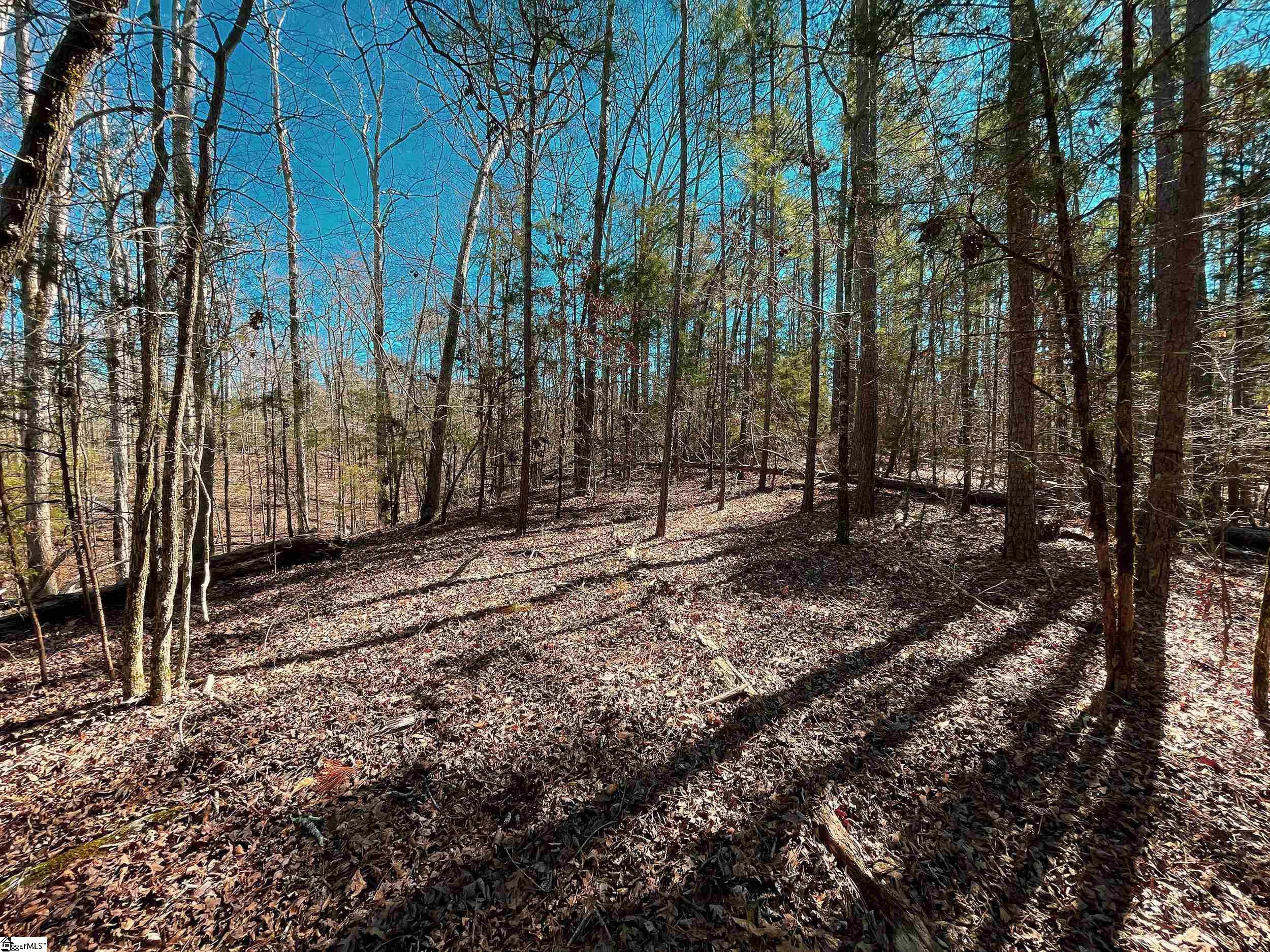 00 Tom Young Bridge Road Iva, SC 29655