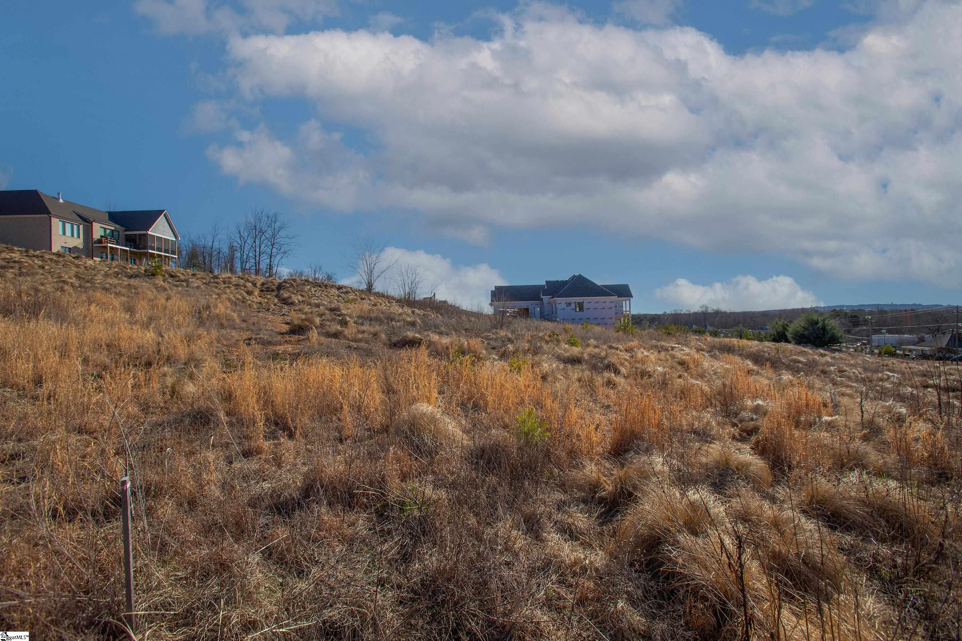 Homes for sale in Greenville, SC | 233 Trevi Dr, Greenville, SC 29609 | MLS# 1549625