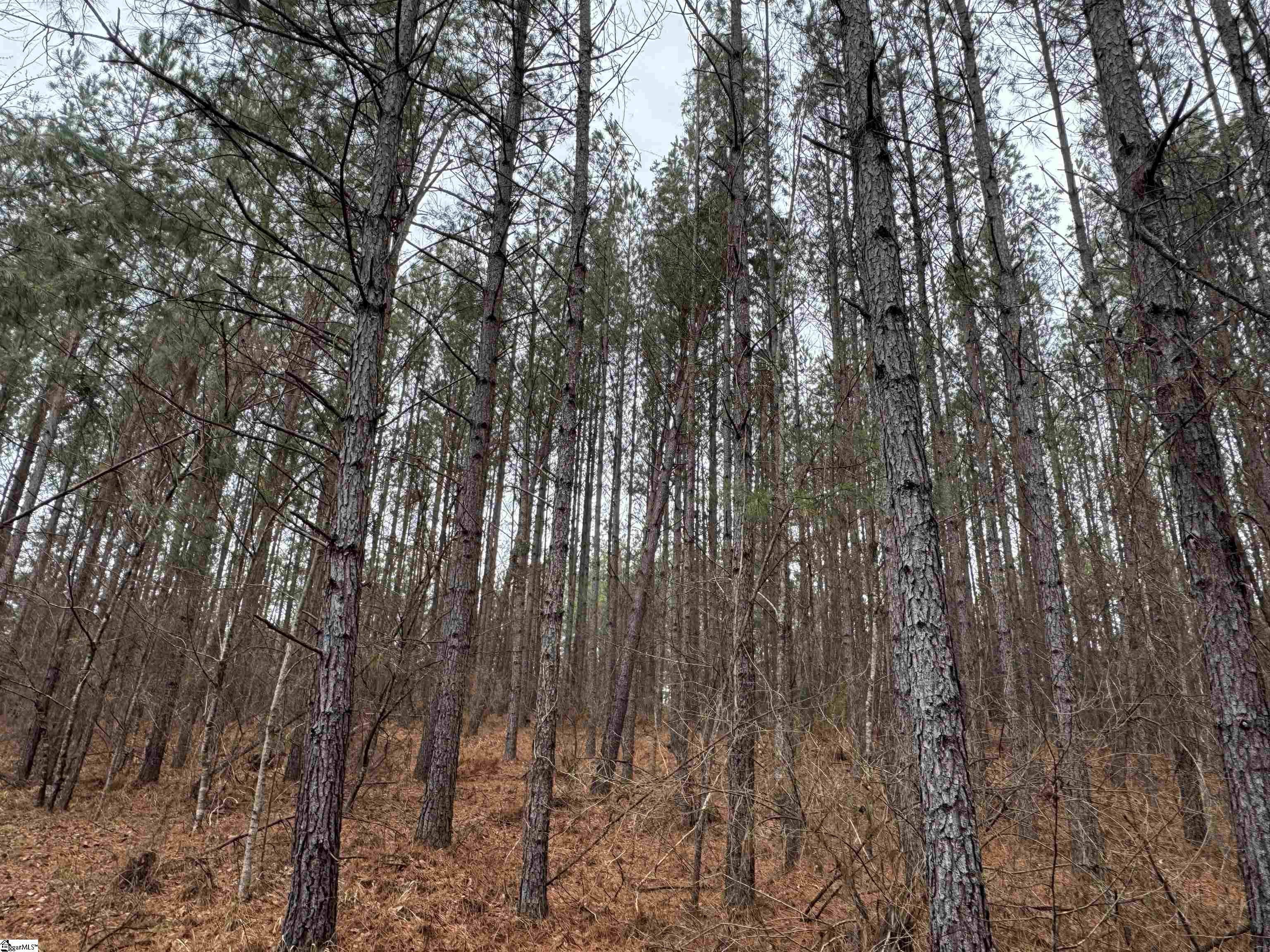 2301 Whitetown Road Mccormick, SC 29845