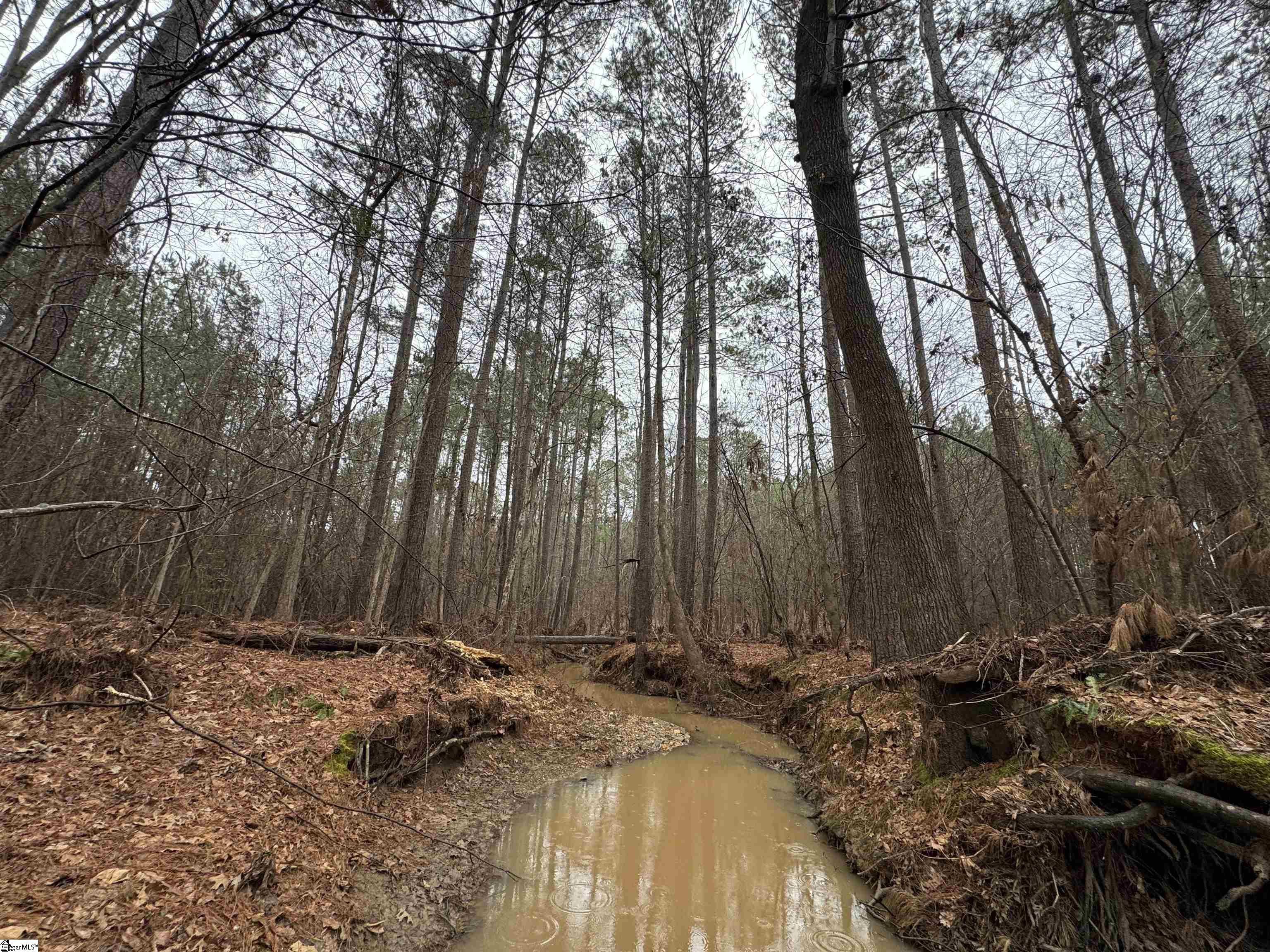 2301 Whitetown Road Mccormick, SC 29845