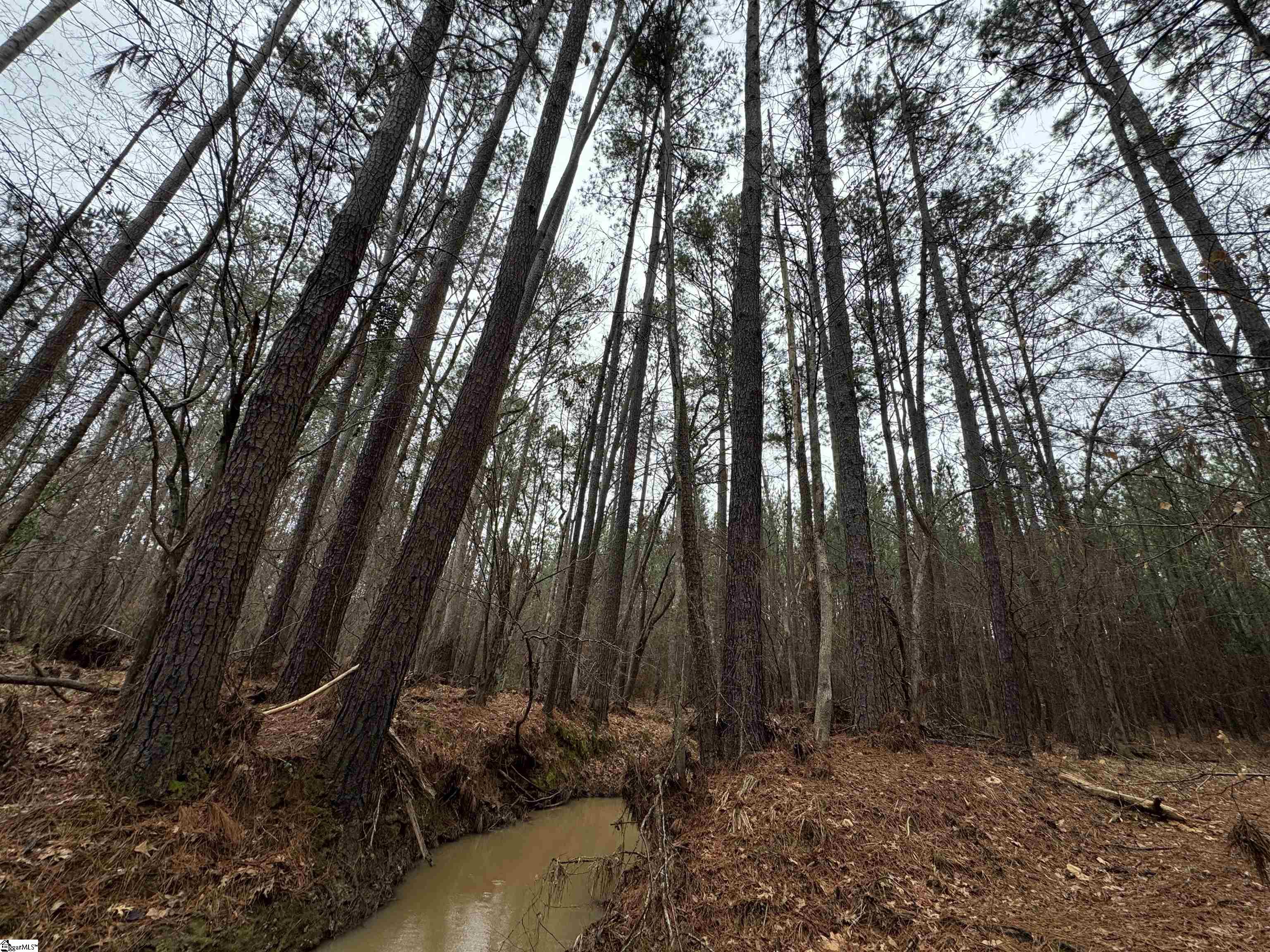 2301 Whitetown Road Mccormick, SC 29845
