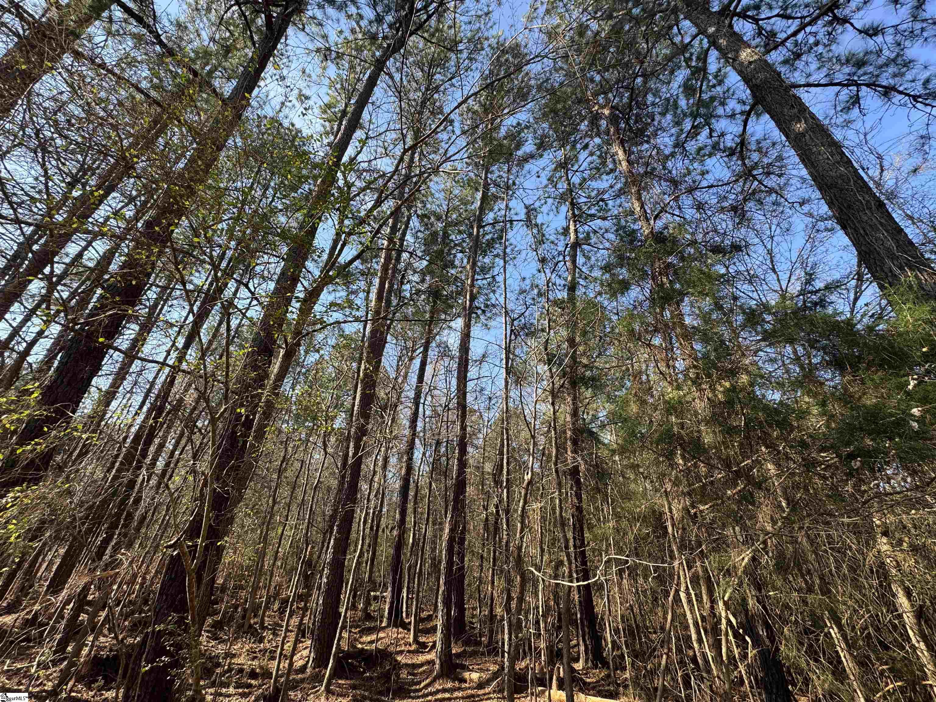 2301 Whitetown Road Mccormick, SC 29845
