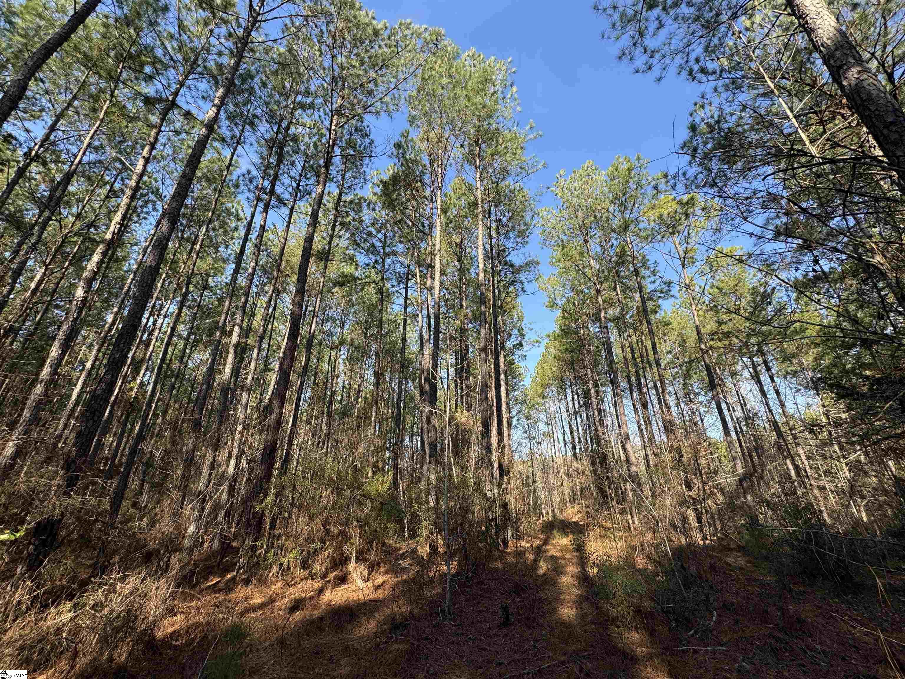 2301 Whitetown Road Mccormick, SC 29845
