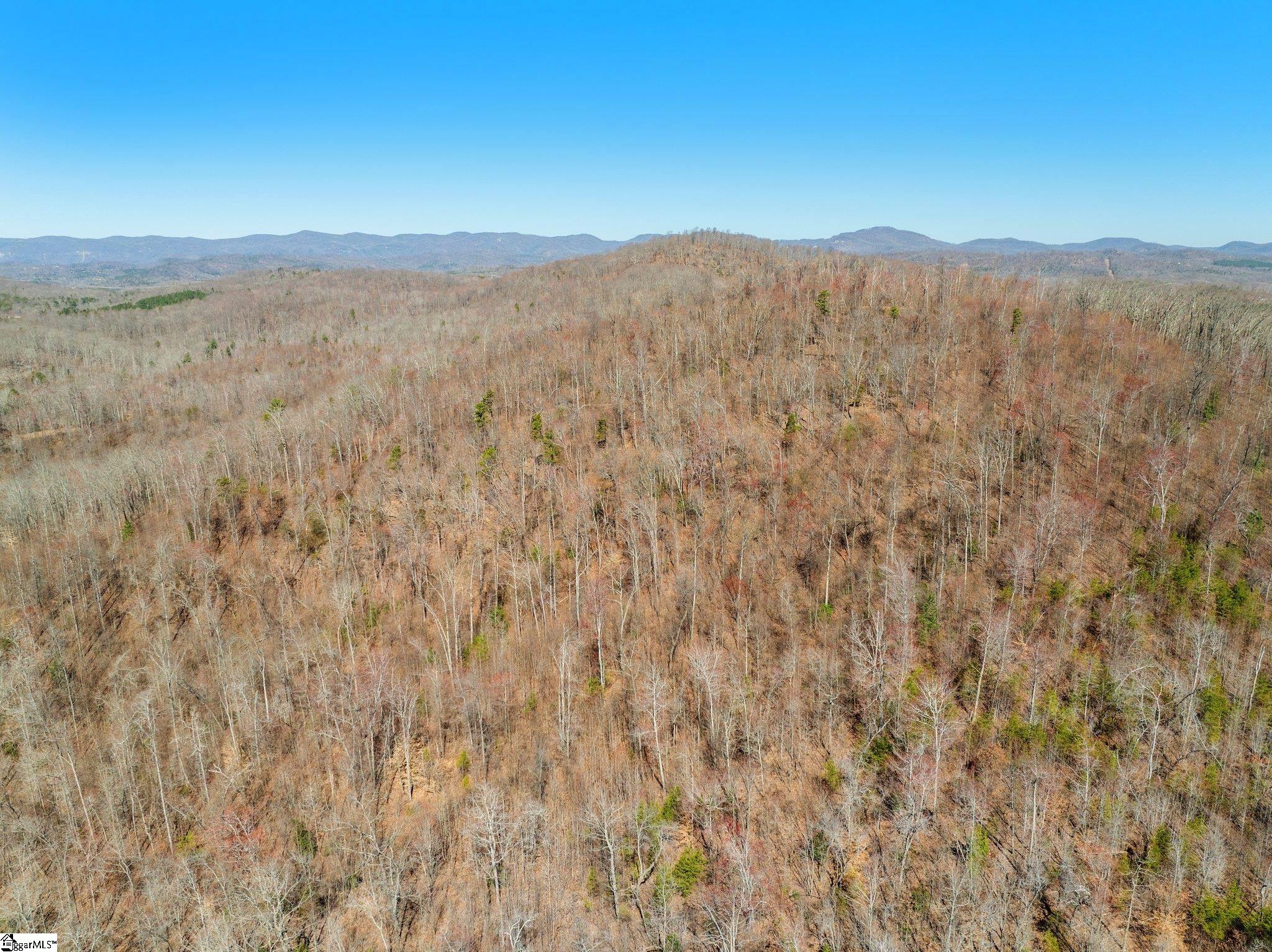 00 Burns Road Travelers Rest, SC 29690