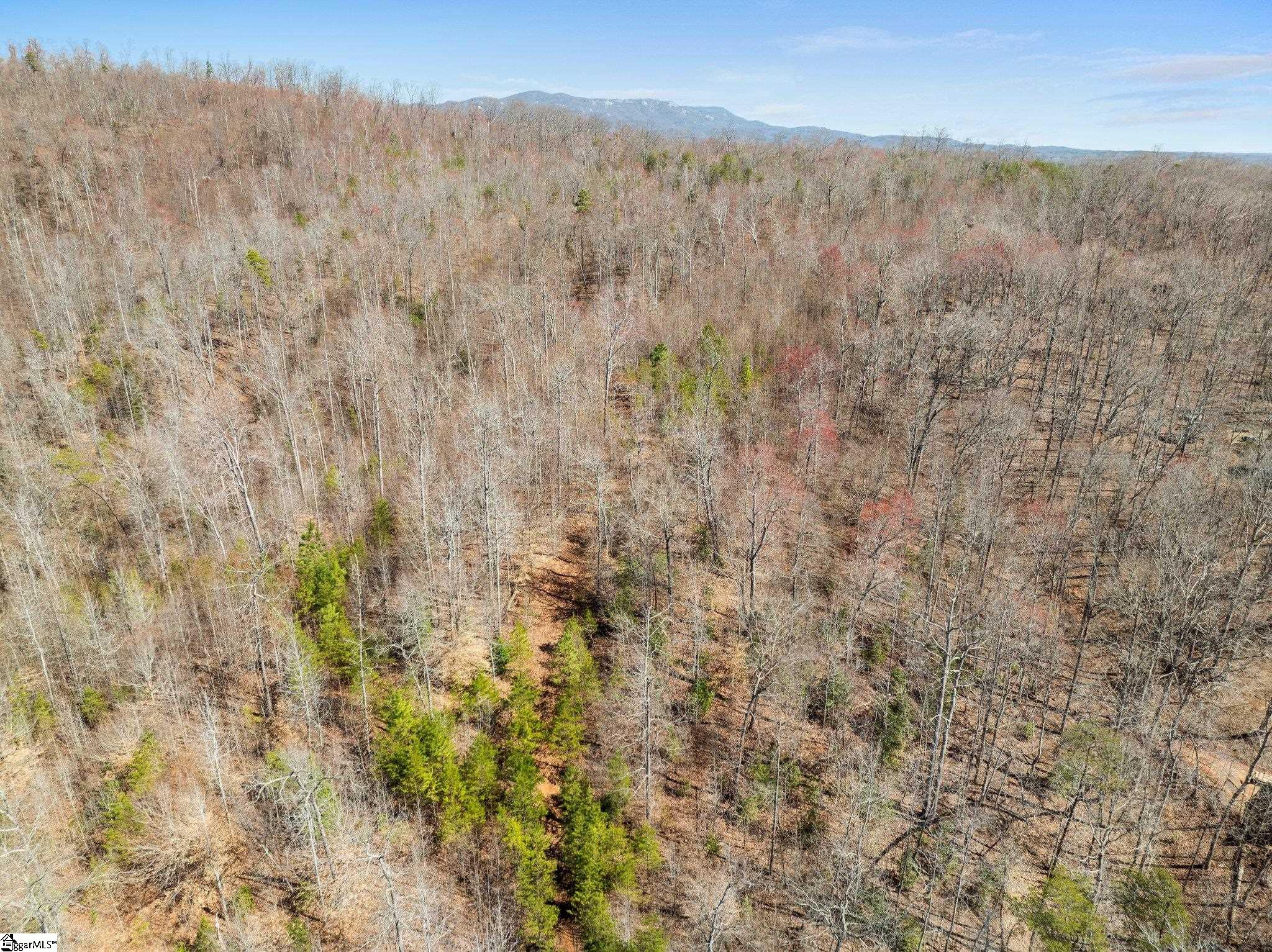 00 Burns Road Travelers Rest, SC 29690