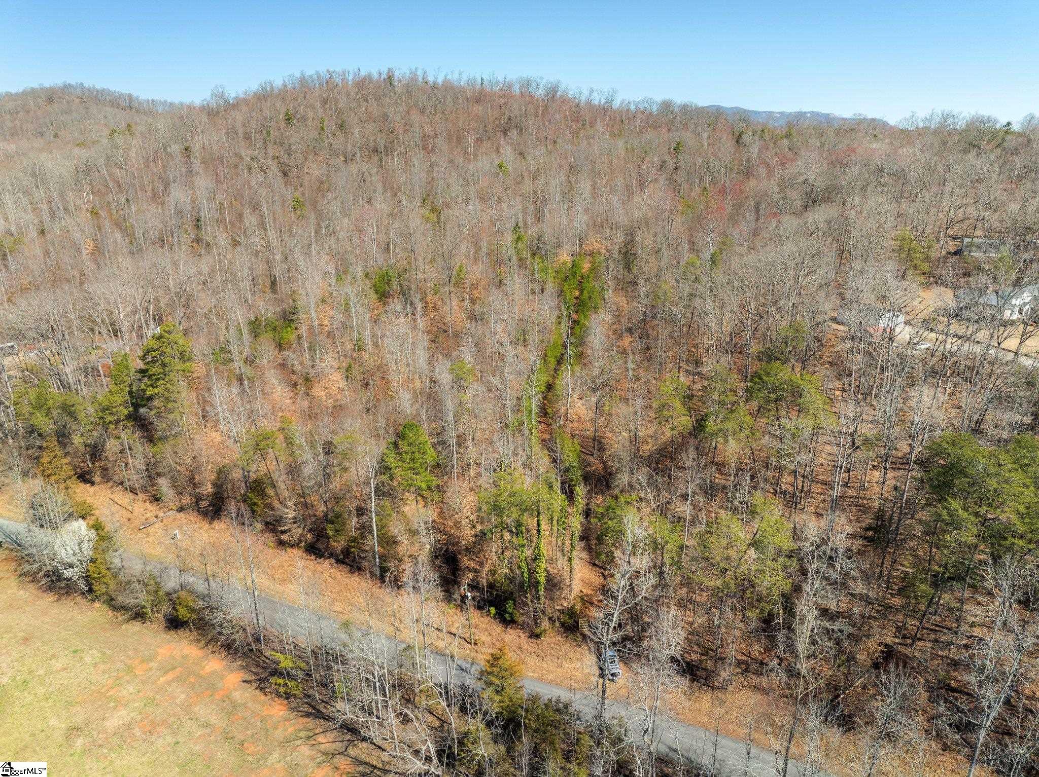 00 Burns Road Travelers Rest, SC 29690