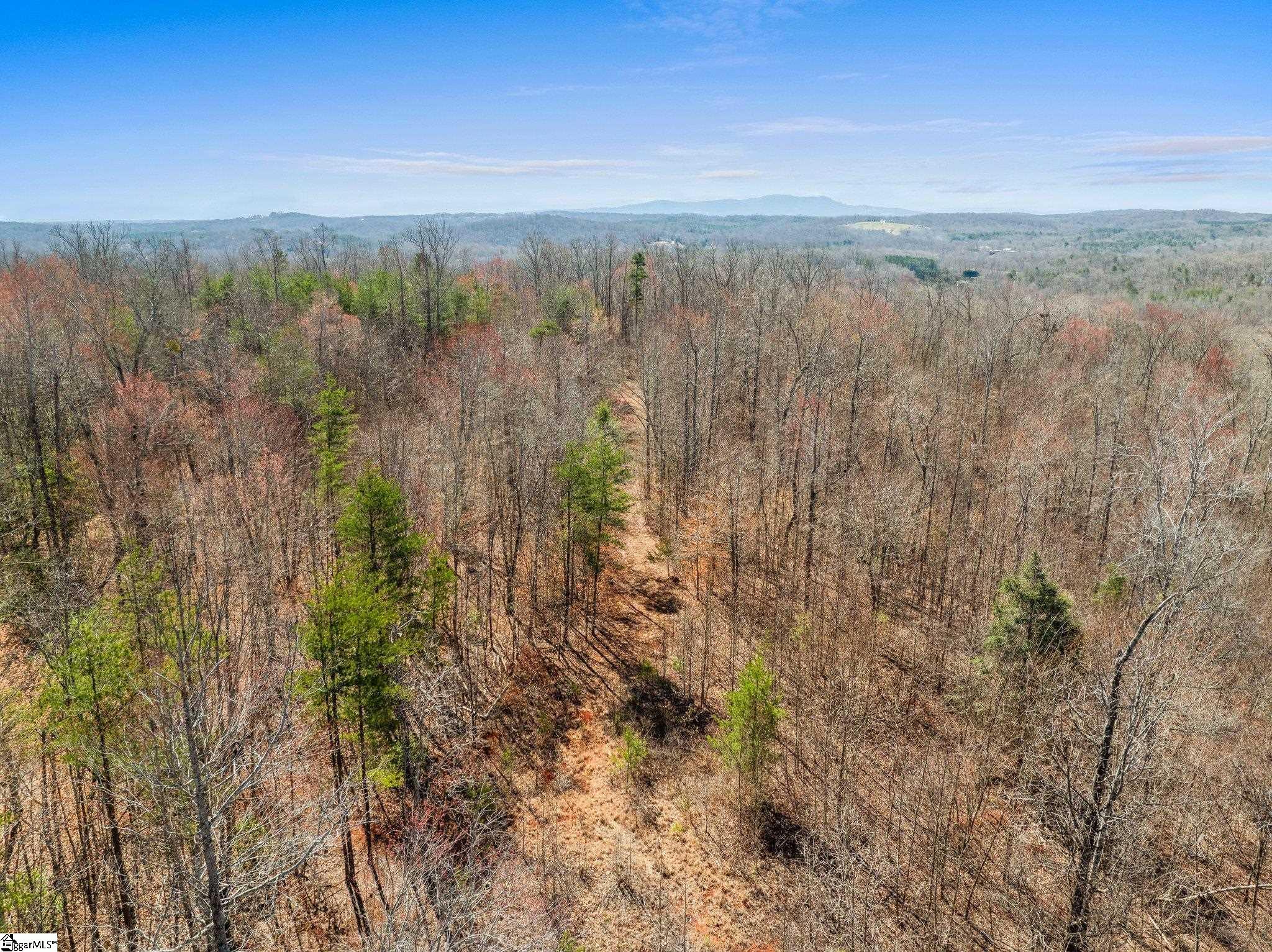 00 Burns Road Travelers Rest, SC 29690