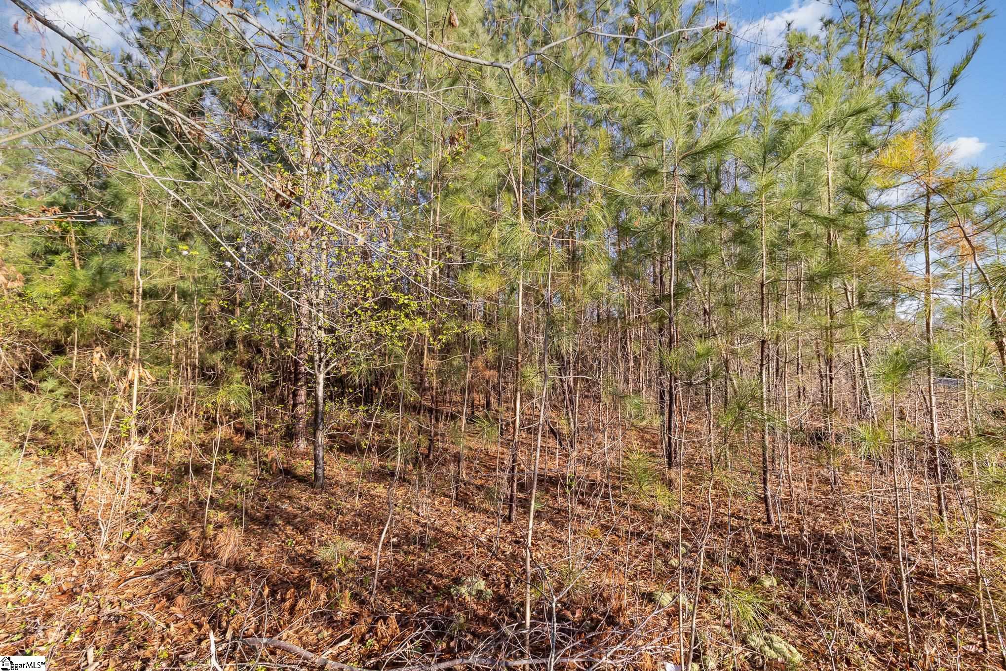 3920 Moore Duncan Highway Moore, SC 29369