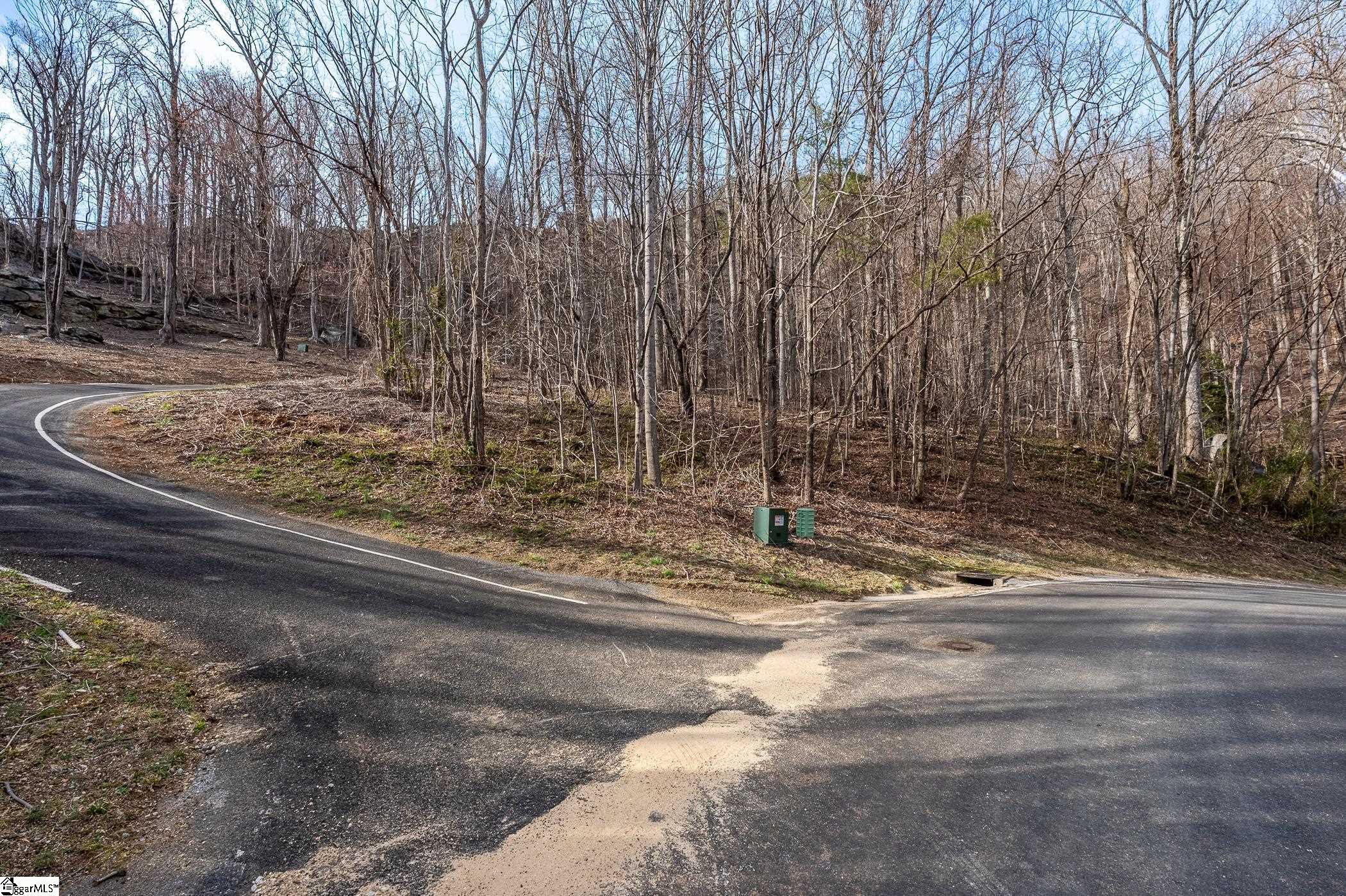 High Country Way Landrum, SC 29356-3329