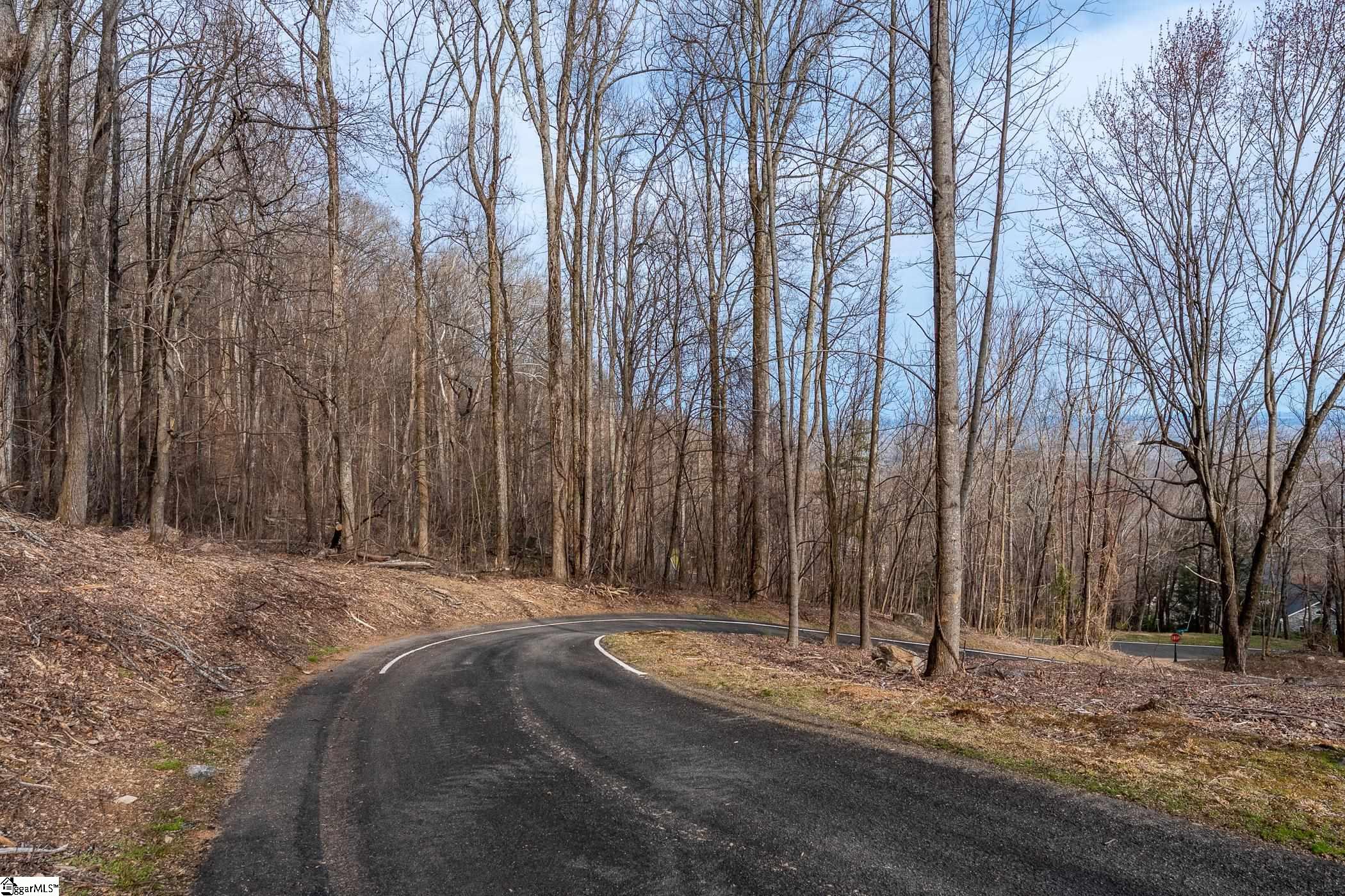 High Country Way Landrum, SC 29356-3329