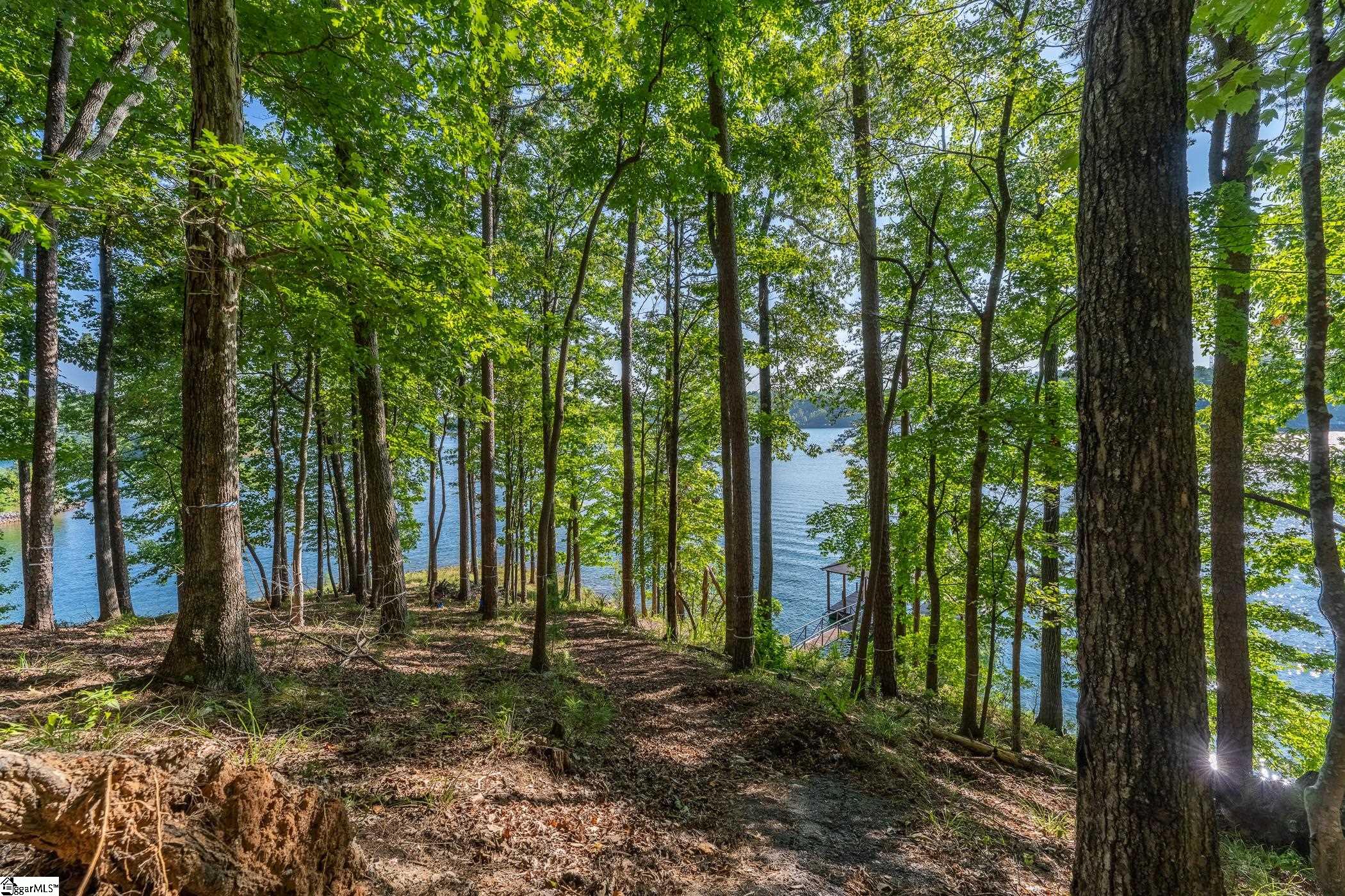 107 S Turtle Rock Road Sunset, SC 29685