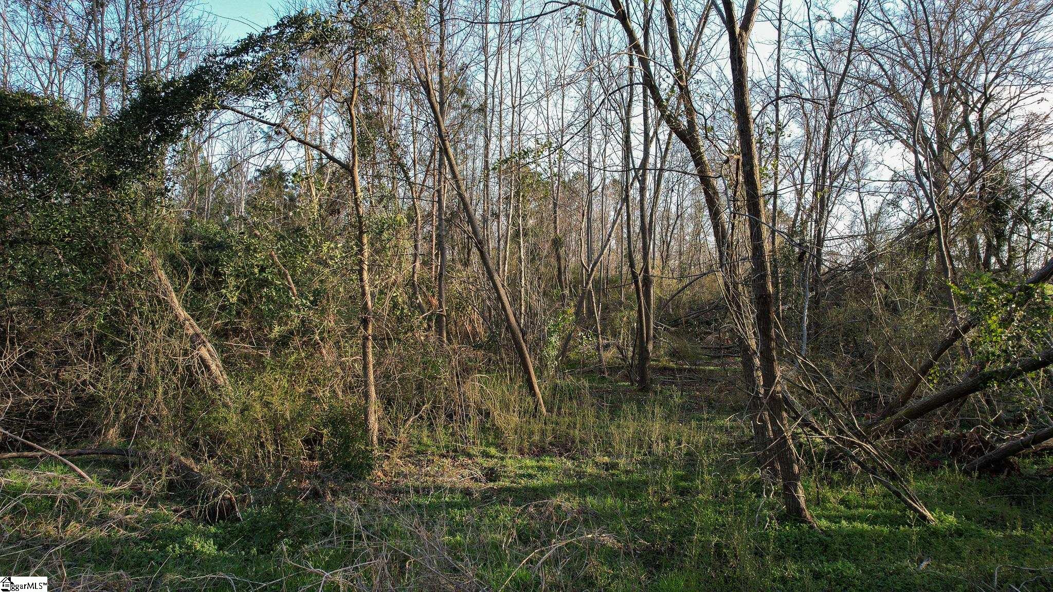 024 Hobby Lane Kinards, SC 29355