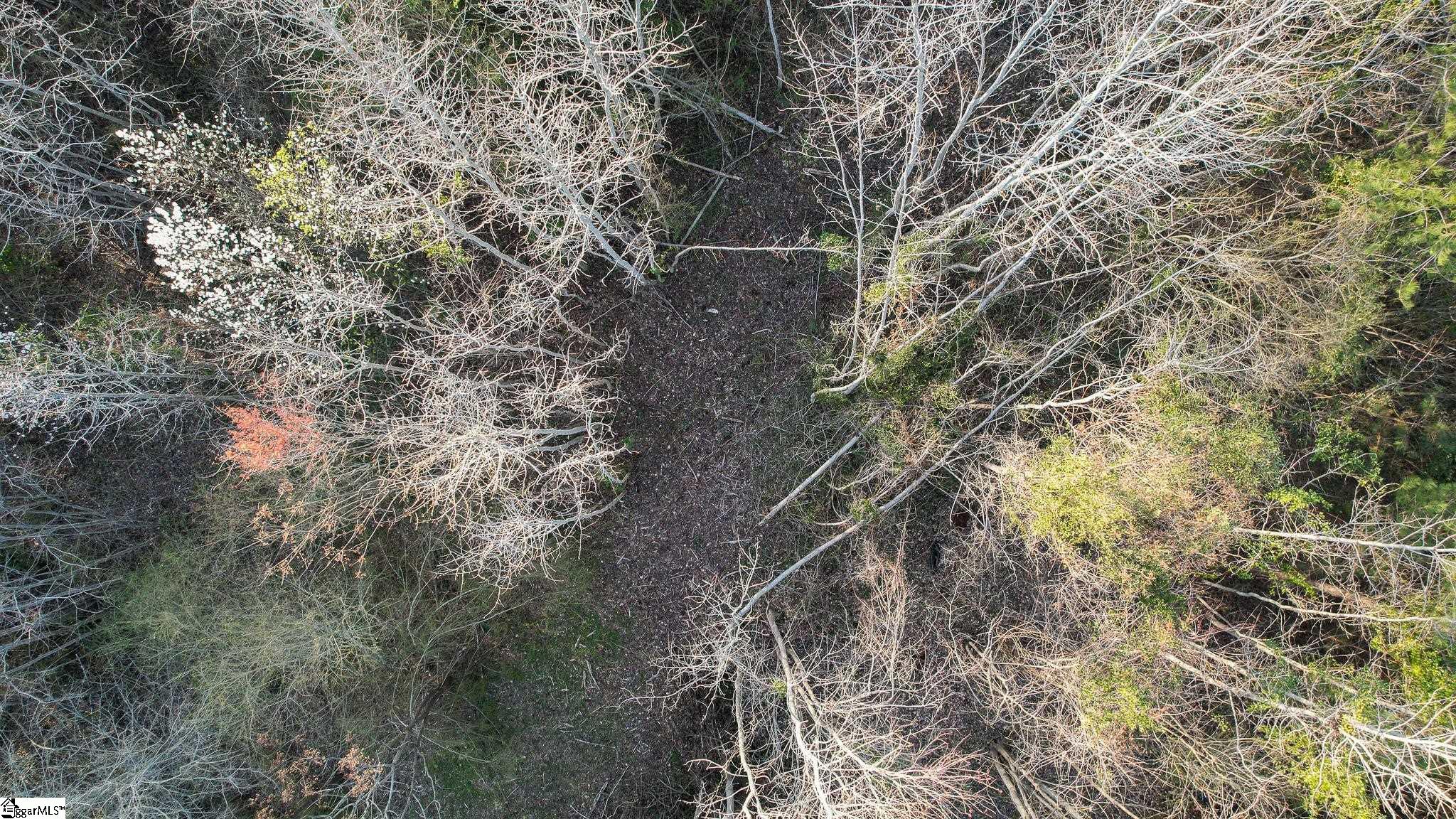 024 Hobby Lane Kinards, SC 29355