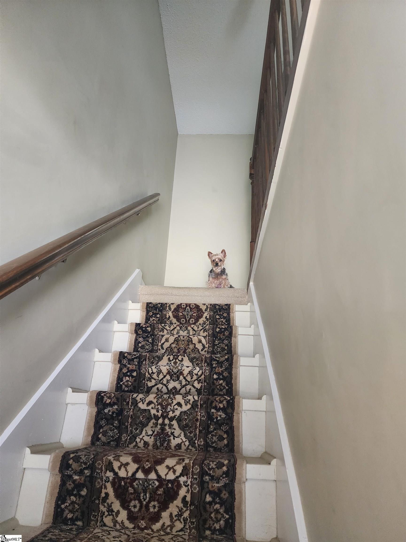 3 Bear Grass Court Greenville, SC 29605