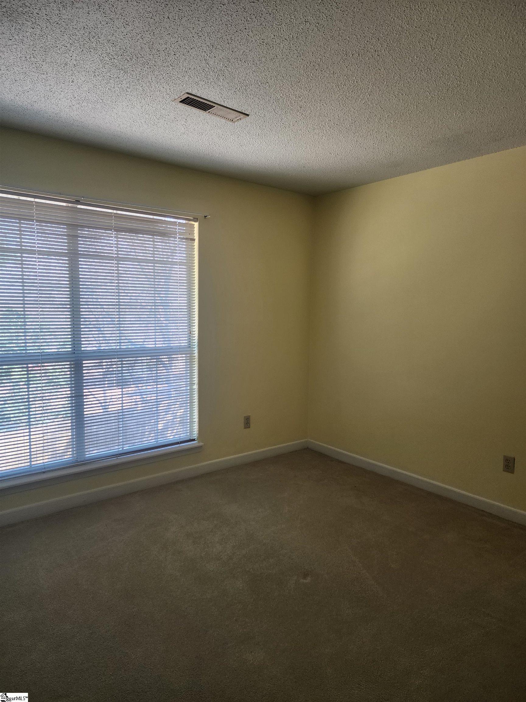 3 Bear Grass Court Greenville, SC 29605