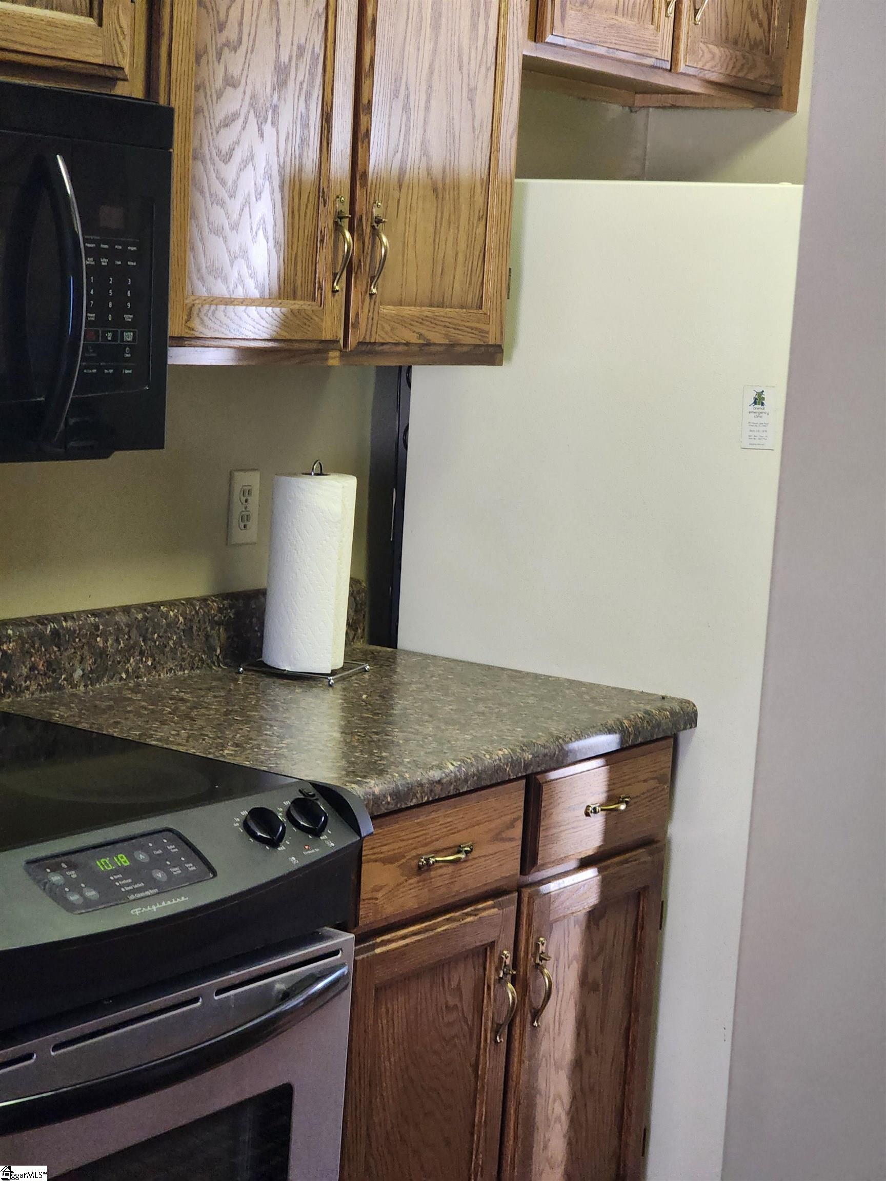 3 Bear Grass Court Greenville, SC 29605