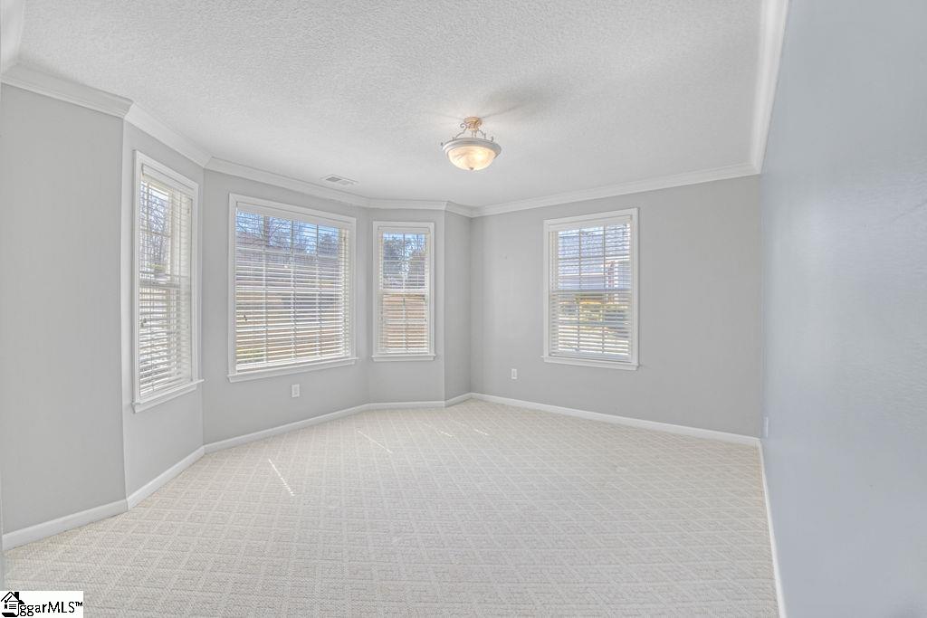 106 Brandi Starr Court Greer, SC 29651