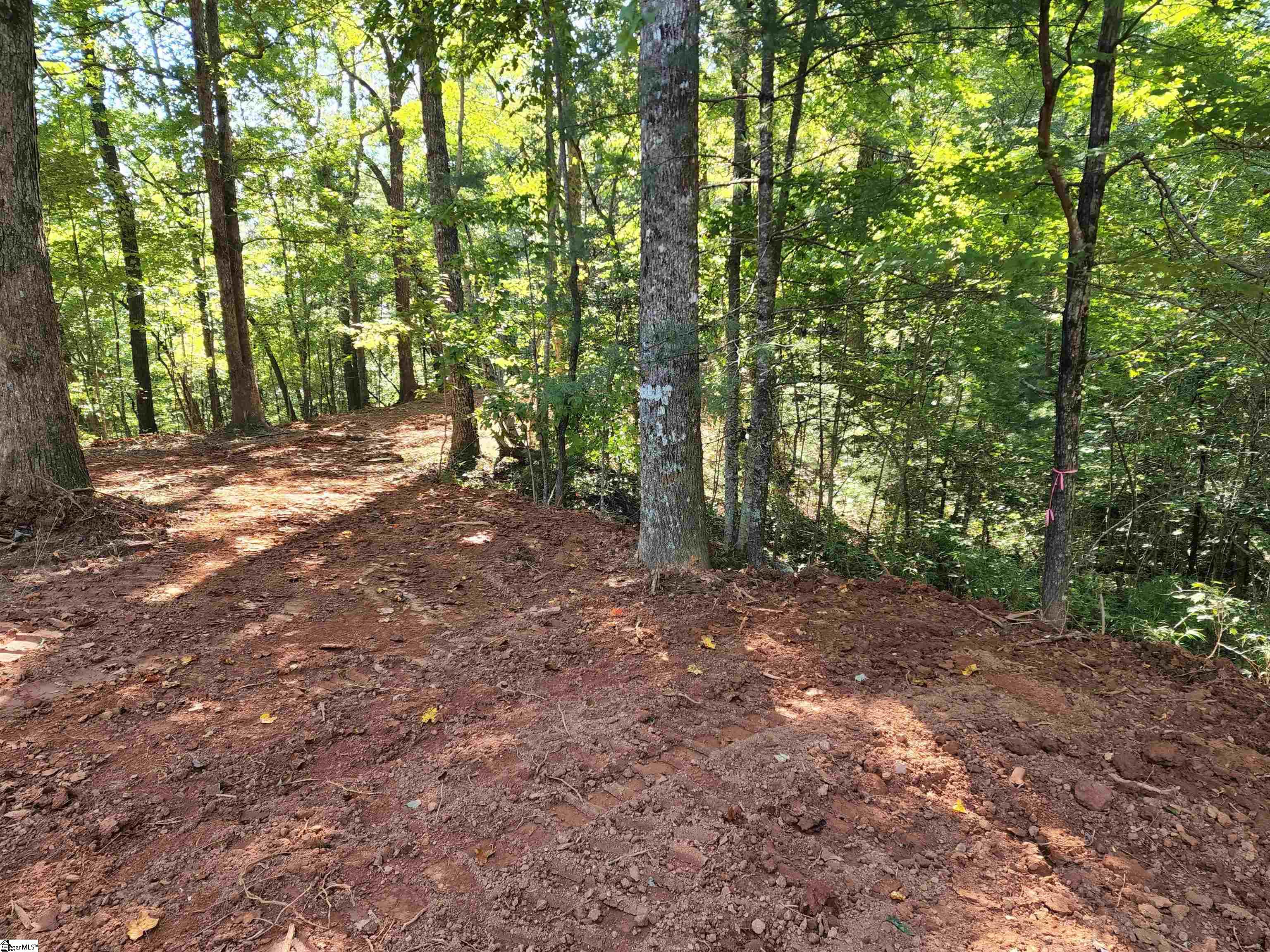 Homes for sale in Cleveland, SC | 00 Emerald Crest Ln, Cleveland, SC 29635 | MLS# 1550864