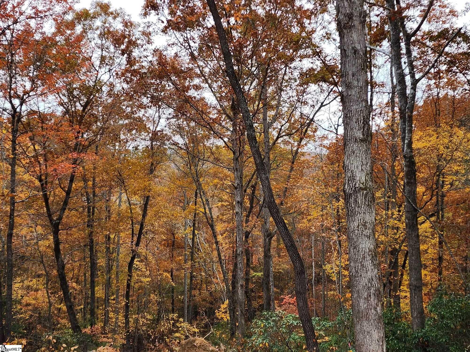 Homes for sale in Cleveland, SC | 00 Emerald Crest Ln, Cleveland, SC 29635 | MLS# 1550864